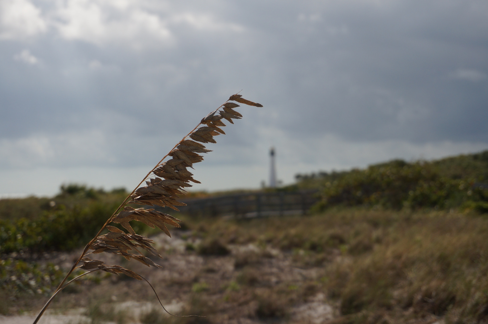 Sony Alpha NEX-6 + Sony E 18-50mm F4-5.6 sample photo. Cape florida lighthouse photography