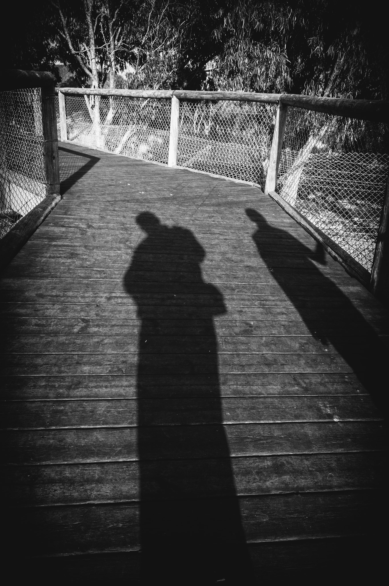 Sony Alpha NEX-5R + Sony E 18-55mm F3.5-5.6 OSS sample photo. Shadows on a bridge photography