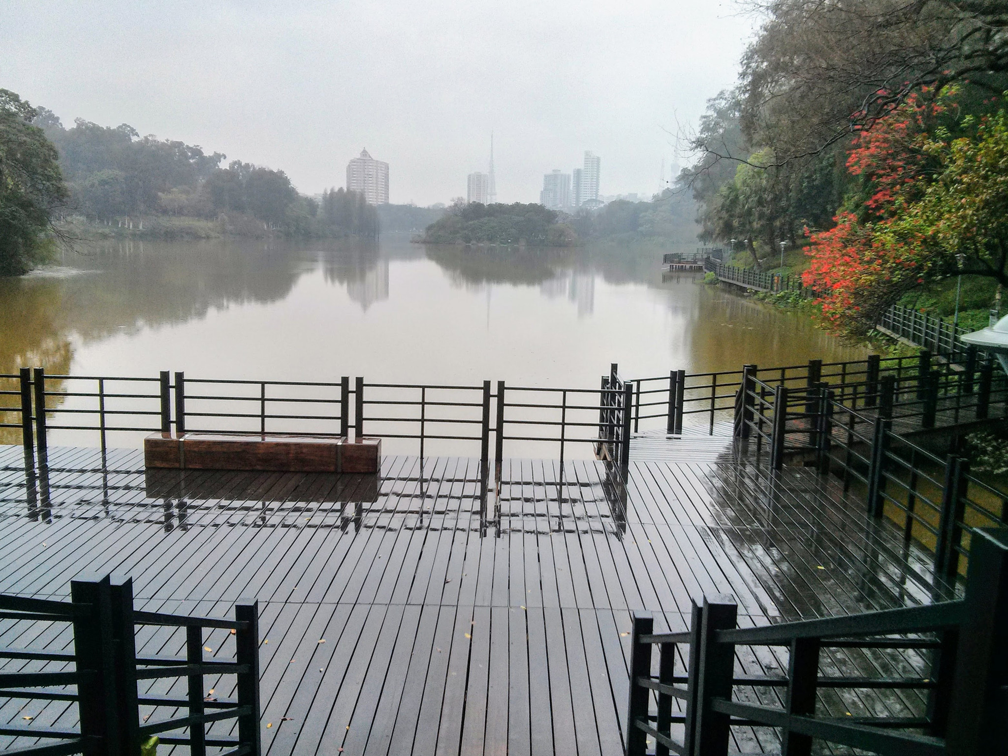 LG Nexus 4 sample photo. Luhu park photography
