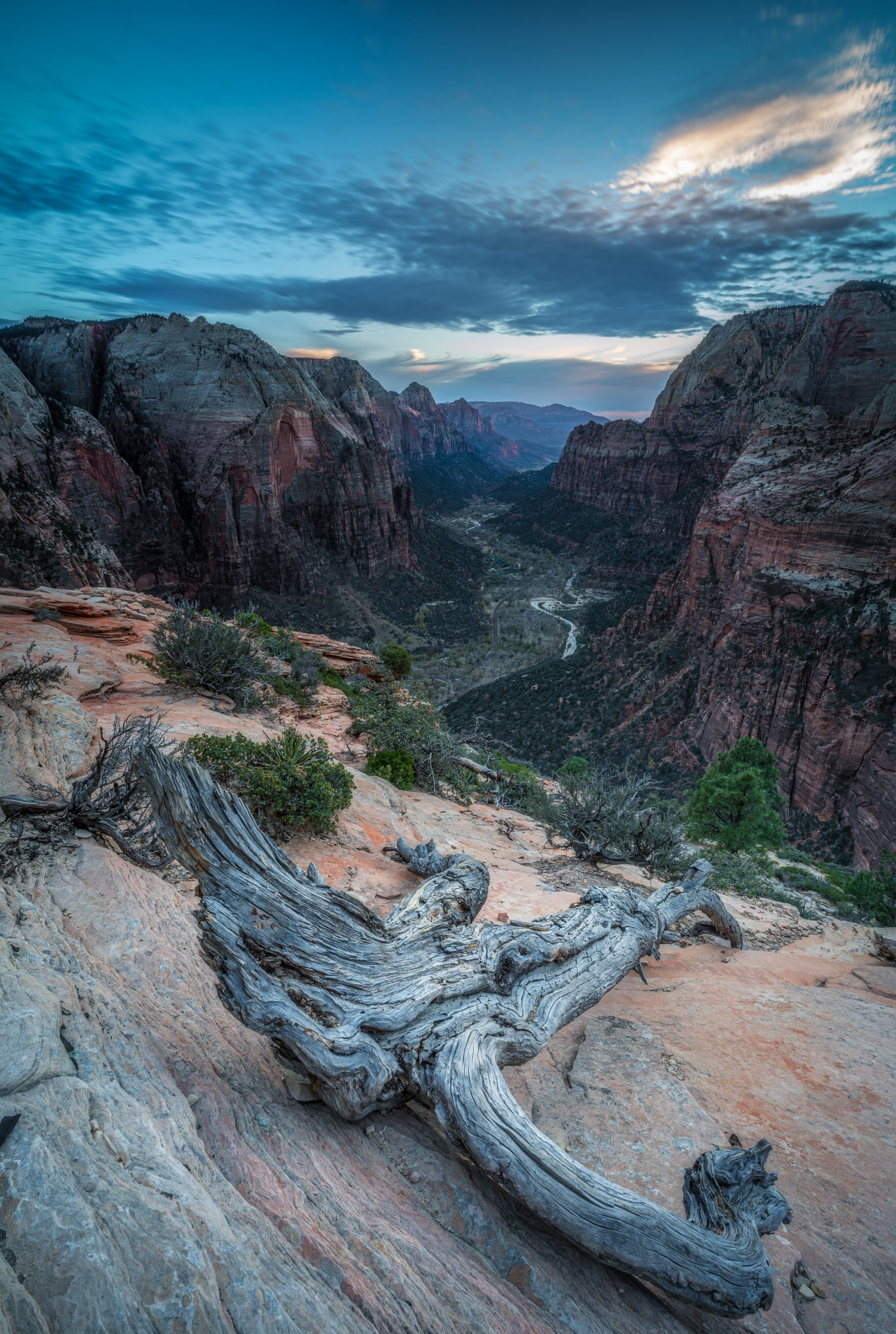 Sony a7R II sample photo. Angels landing photography