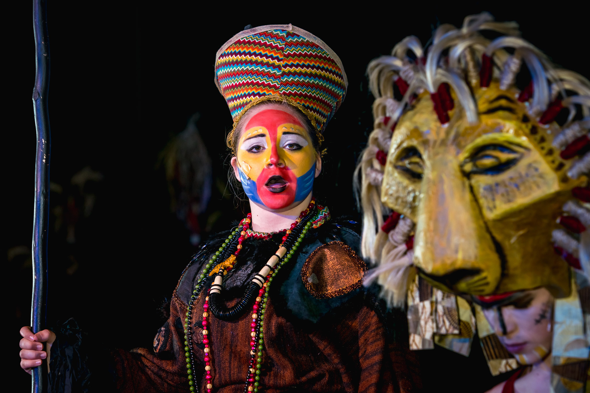 Sony 70-200mm F2.8 G SSM II sample photo. Lion king jr photography