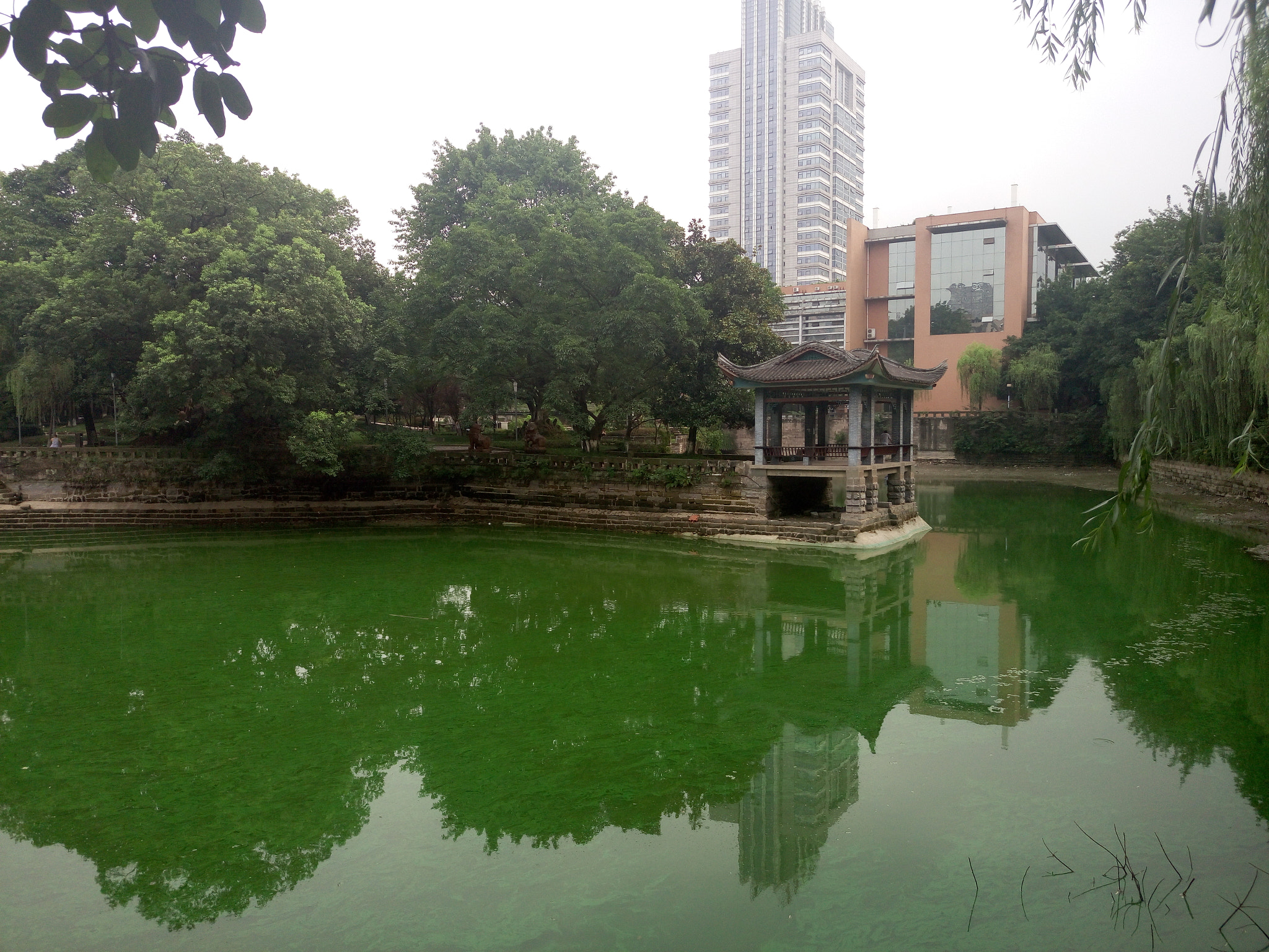 Meizu MX5 sample photo. ������������������������������� photography
