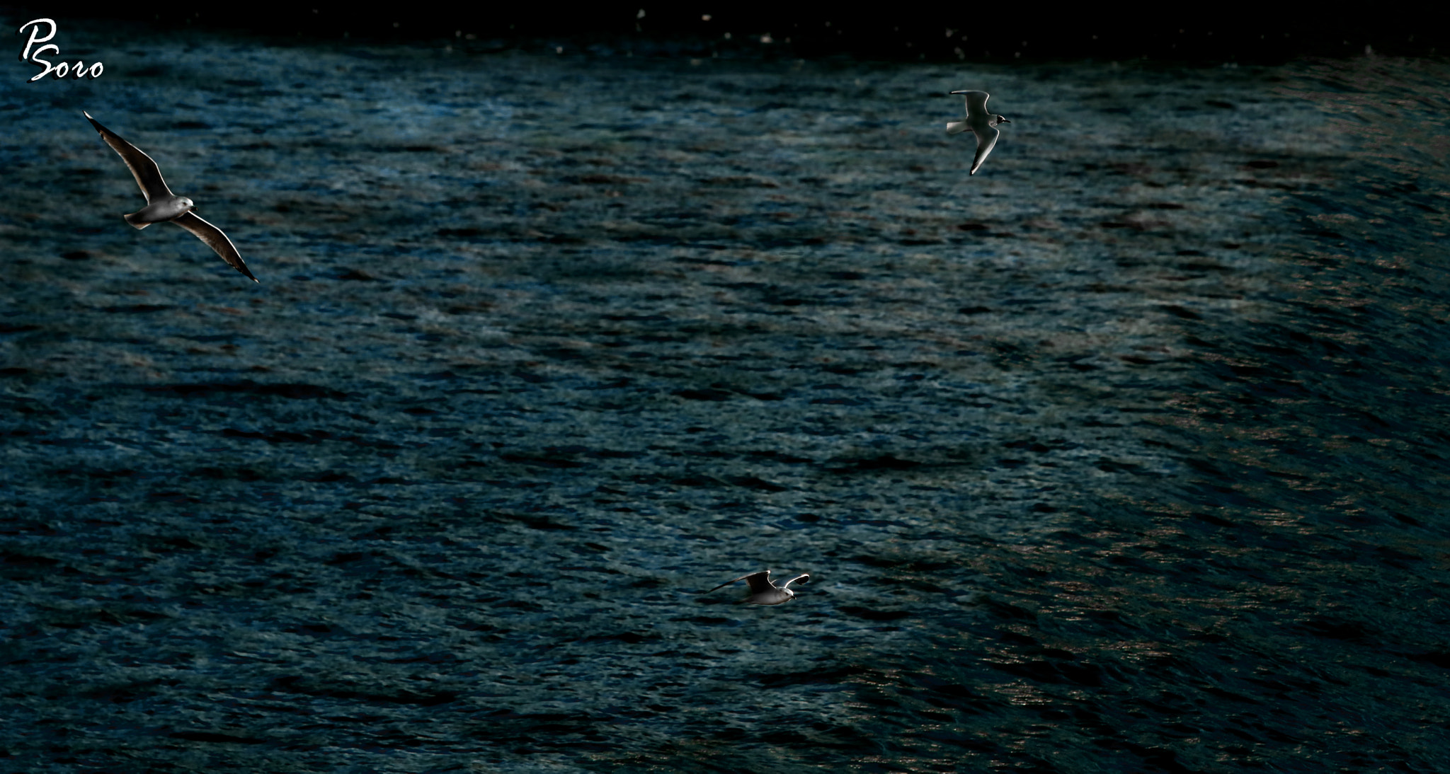 Canon EF 70-200mm F2.8L IS USM sample photo. On the border... photography