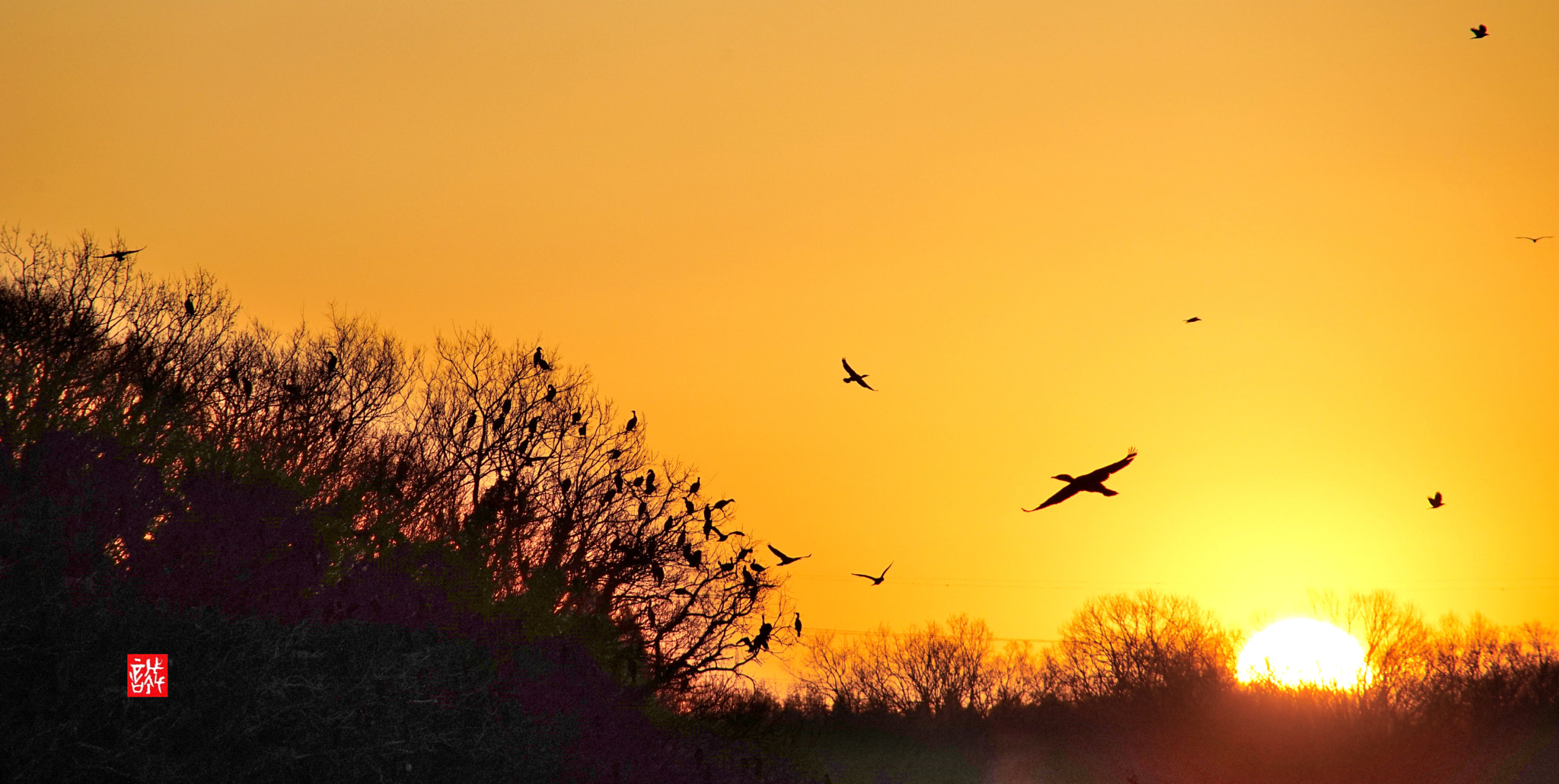 Sony 75-300mm F4.5-5.6 sample photo. Sunrise 0309 photography