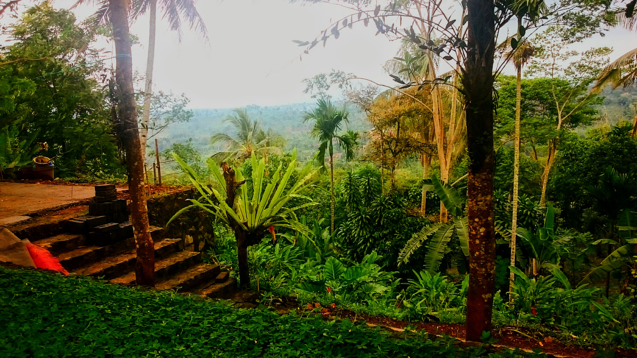 Sony Xperia Z Ultra sample photo