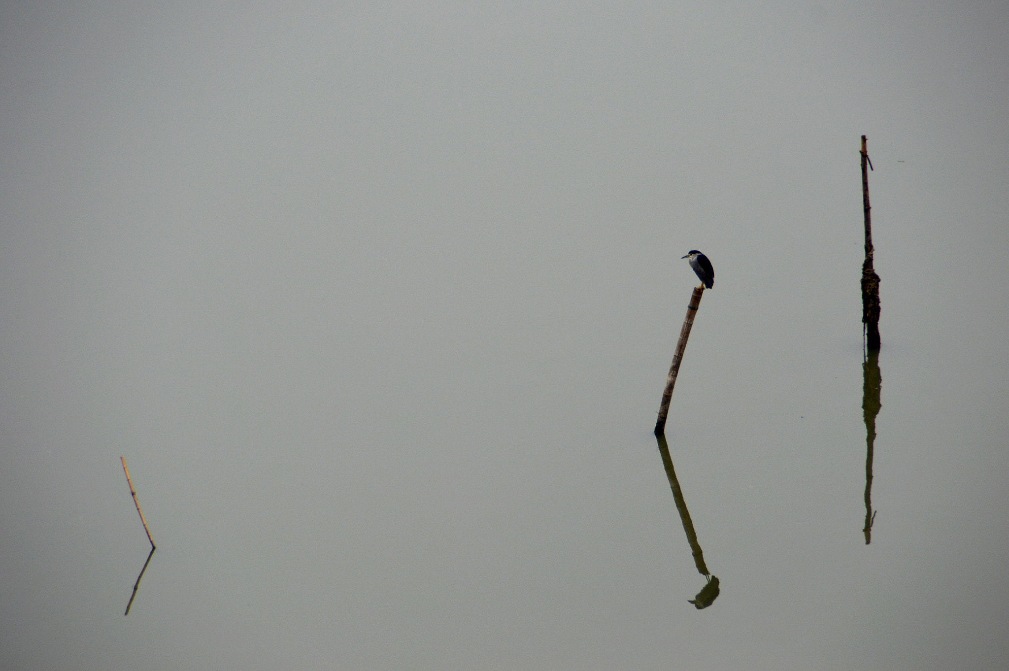 Nikon D3200 sample photo