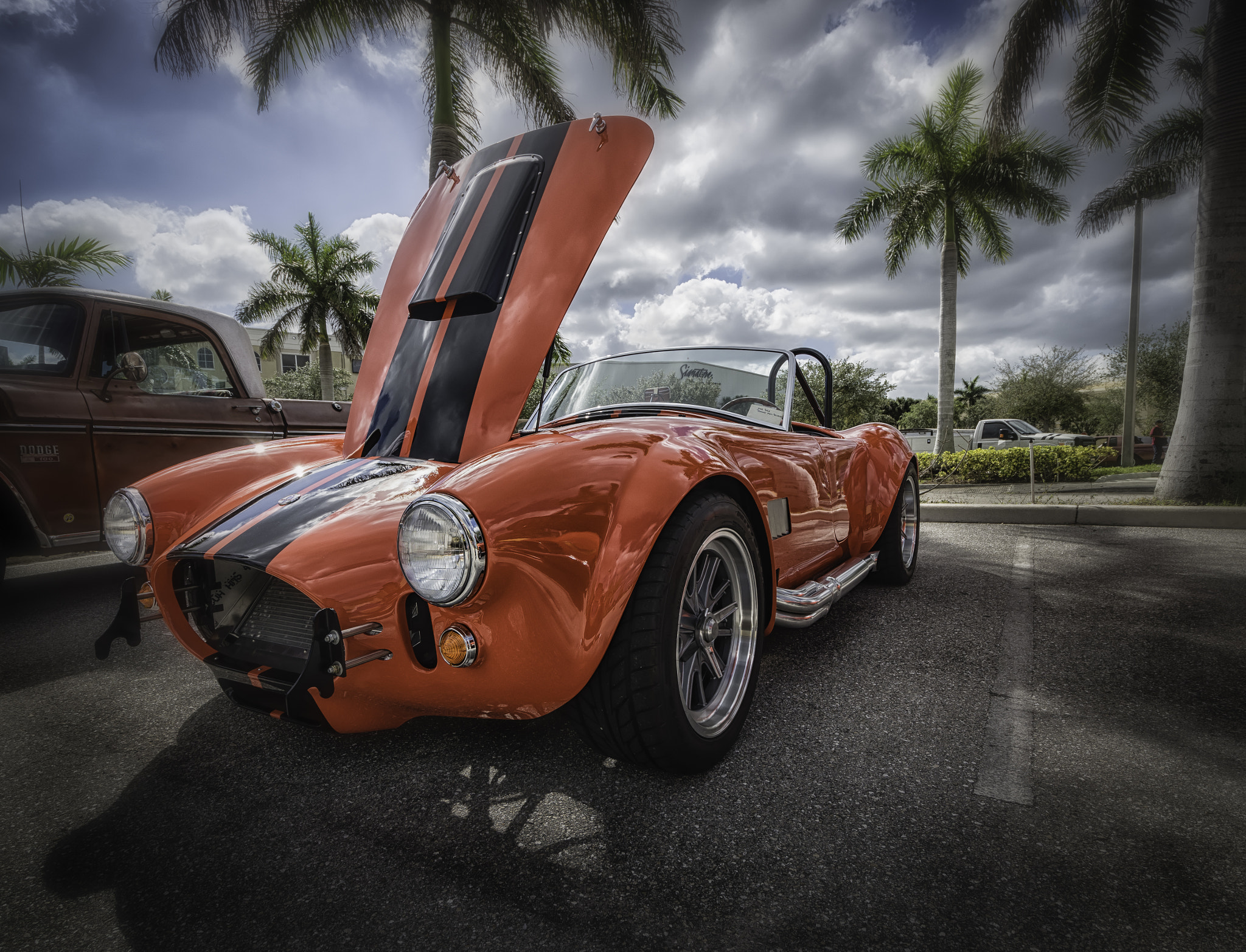Nikon D5500 sample photo. Cobra photography