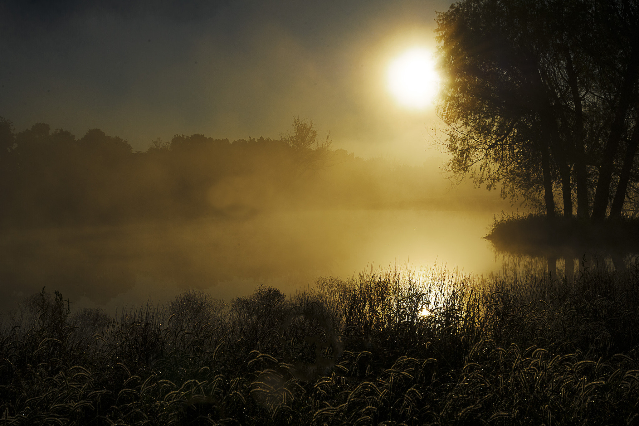 Nikon D3S sample photo. The pond photography
