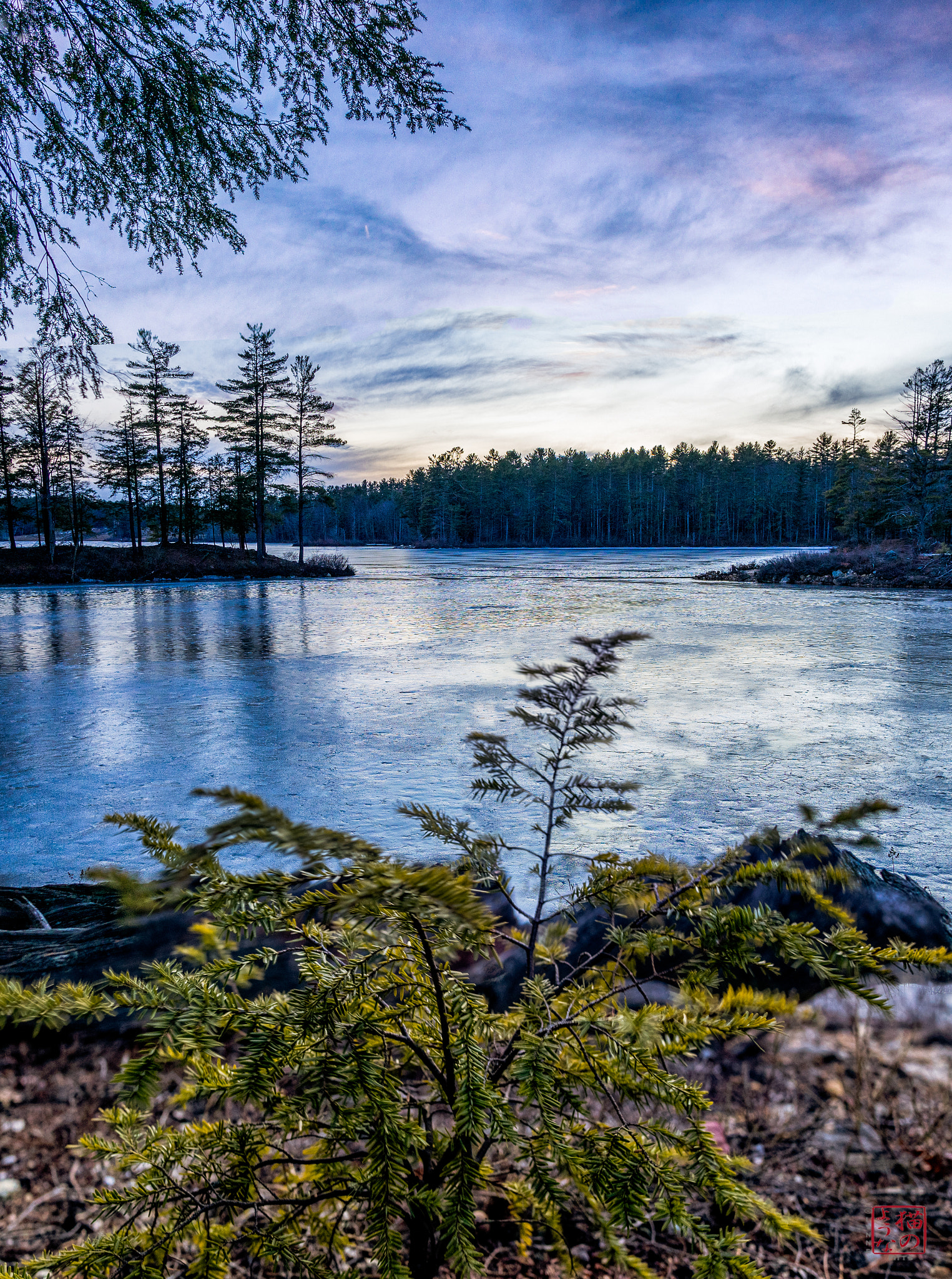 Sony a7 + Sony Sonnar T* E 24mm F1.8 ZA sample photo. Evening and sprout photography