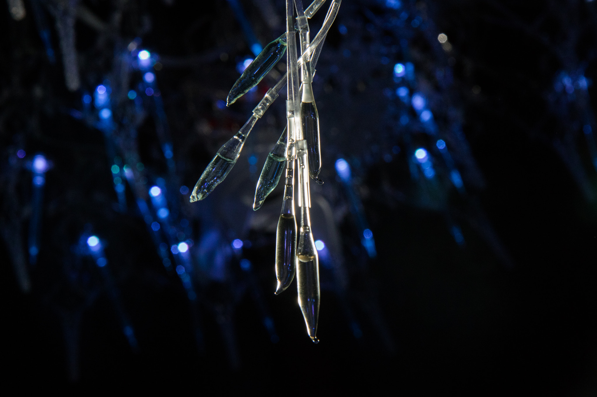 Canon EF-S 17-55mm F2.8 IS USM sample photo. Ra photography