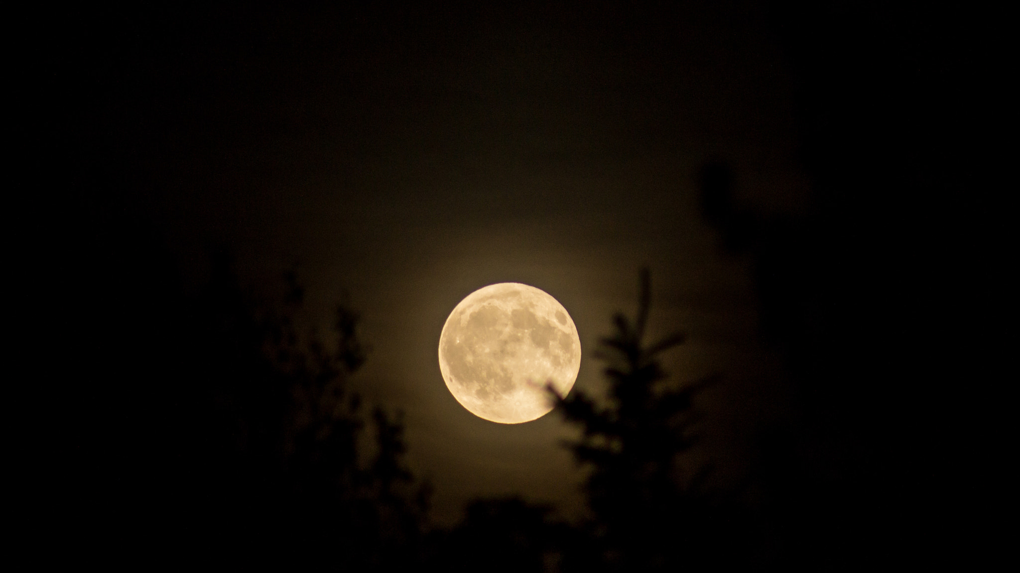 Canon EF 75-300mm f/4-5.6 USM sample photo. Harvest moon photography