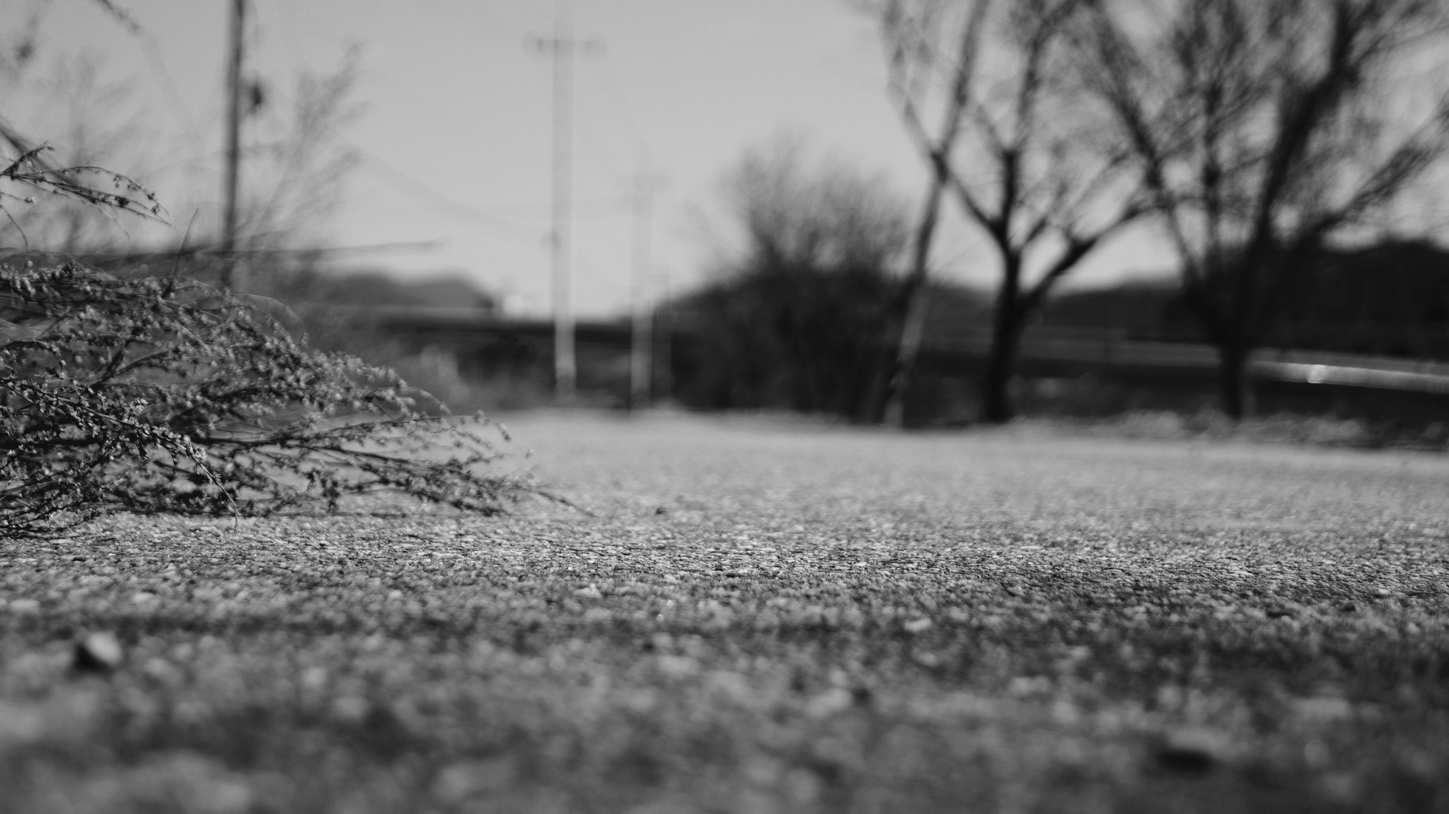 Sony SLT-A57 + Sony DT 18-55mm F3.5-5.6 SAM II sample photo. The korea country's secluded rural roads photography