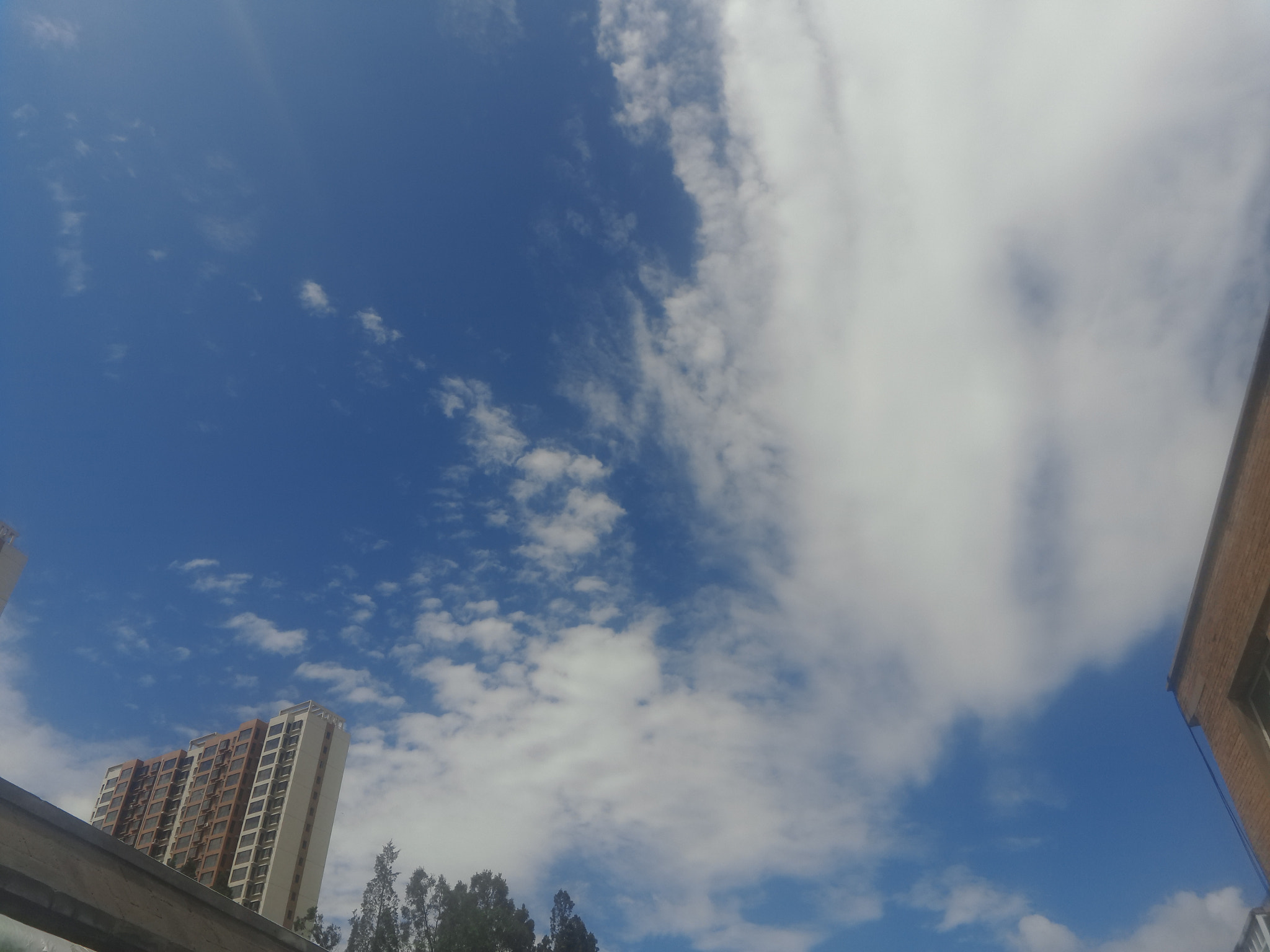 Meizu MX4 Pro sample photo. P photography