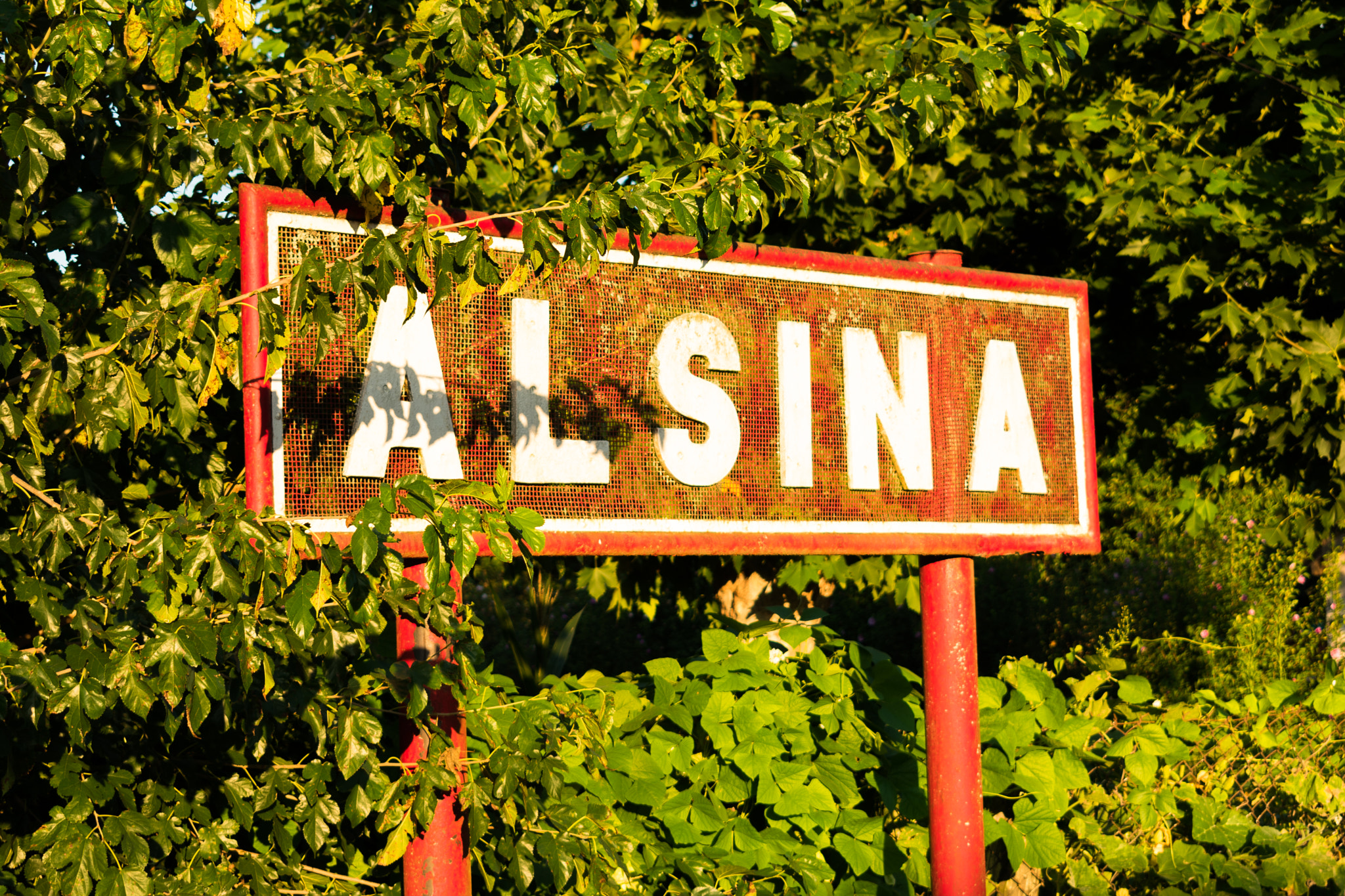 Nikon D3400 sample photo. Alsina photography