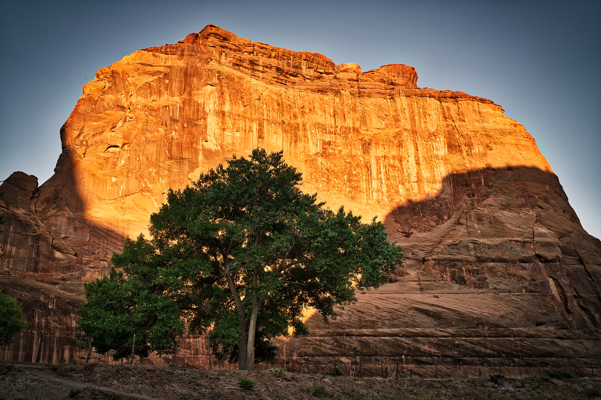 Sony a7R II sample photo. Golden shadow rock photography