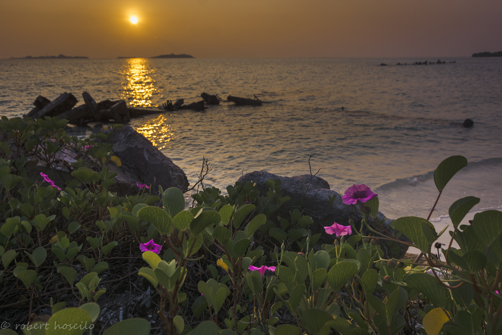 Nikon D7100 + Sigma 10-20mm F3.5 EX DC HSM sample photo. Sun set photography