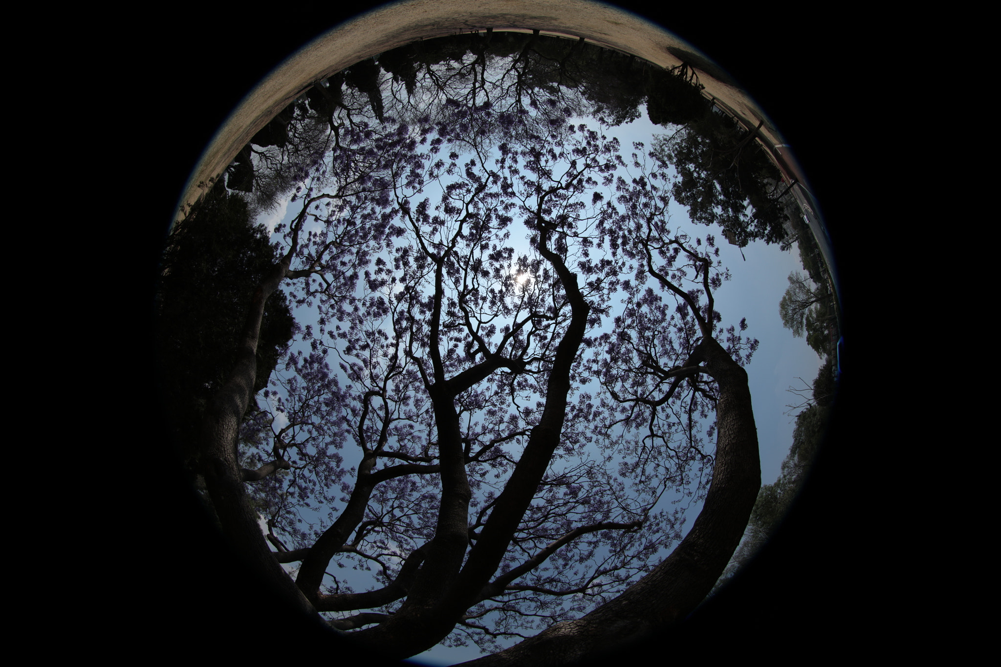Canon EF 8-15mm F4L Fisheye USM sample photo. Under the world, above the earth, inside of me! photography