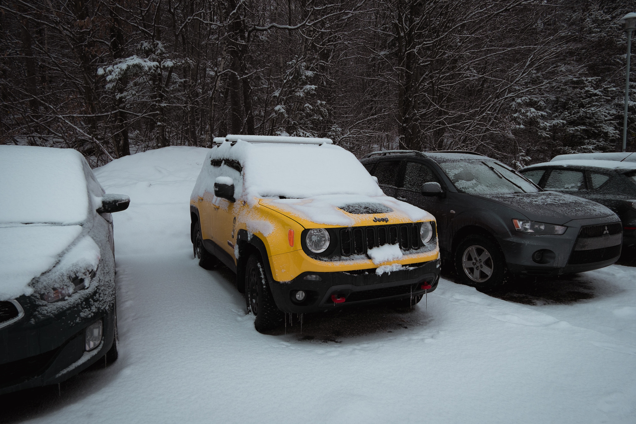 Fujifilm XC 16-50mm F3.5-5.6 OIS sample photo. Yellow o'clock on a very cold december day. photography