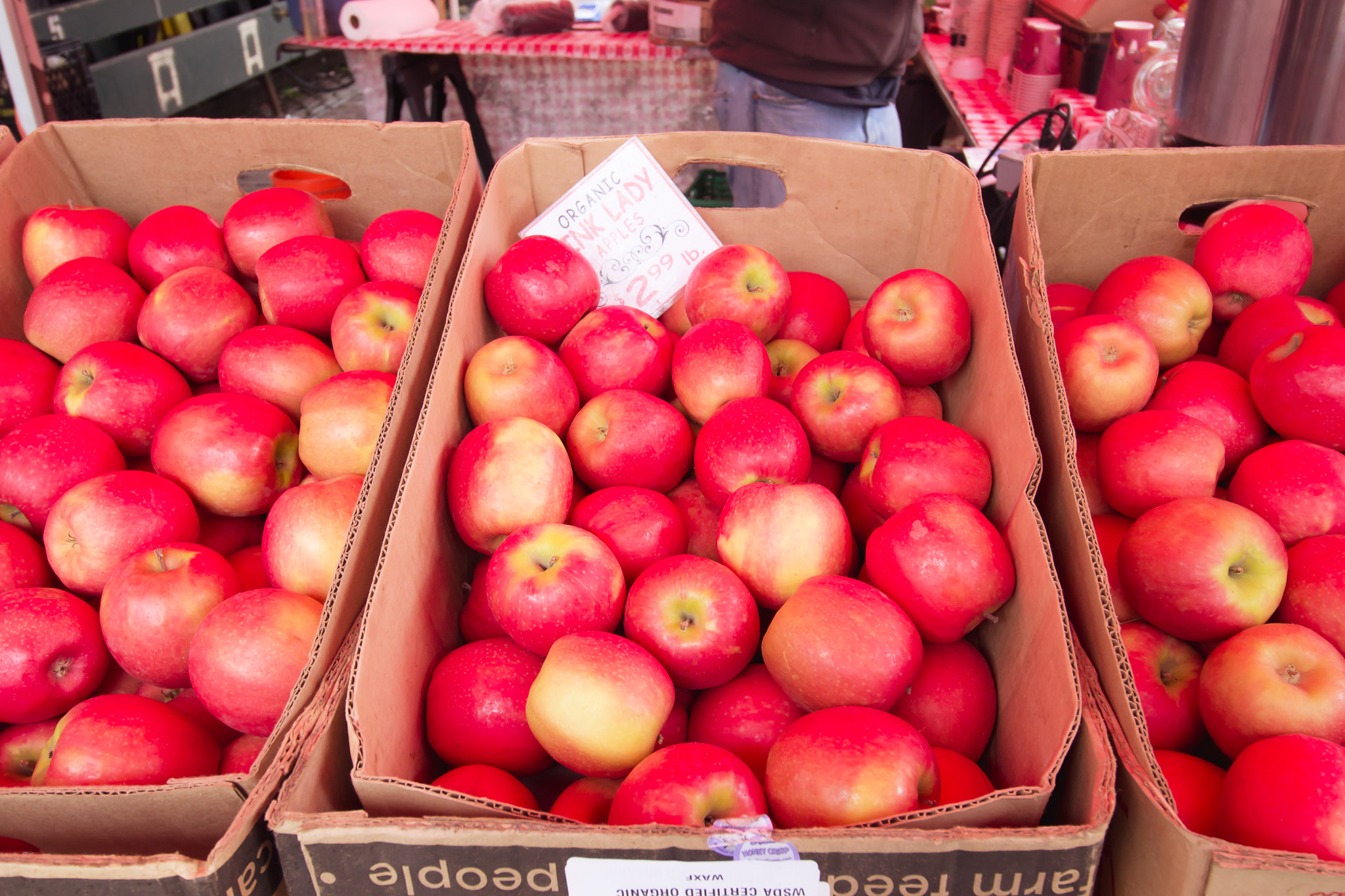 Canon EOS 600D (Rebel EOS T3i / EOS Kiss X5) sample photo. Apples photography