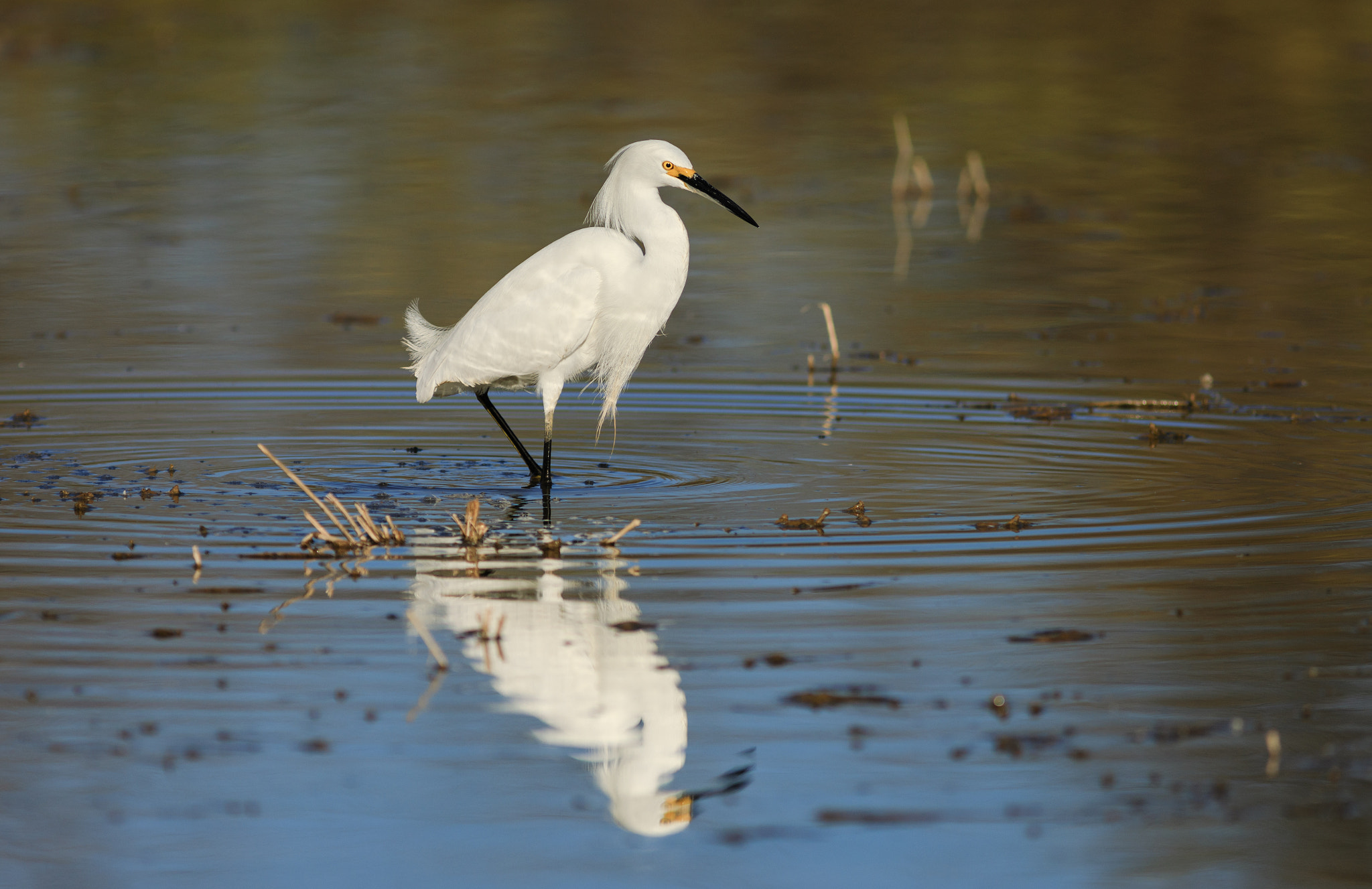 Canon EF 300mm F4L IS USM sample photo. Snowy reflection photography
