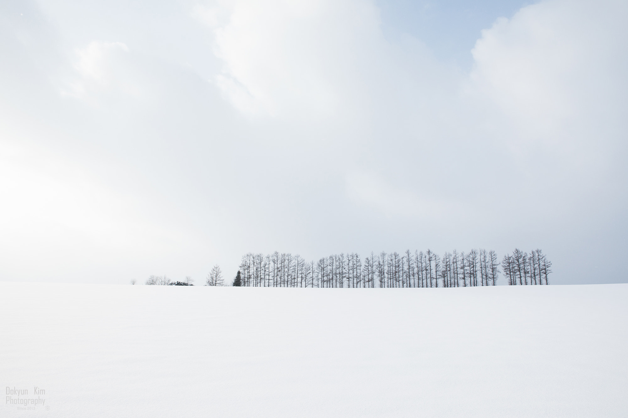 Canon EF 24-70mm F2.8L USM sample photo. Biei photography