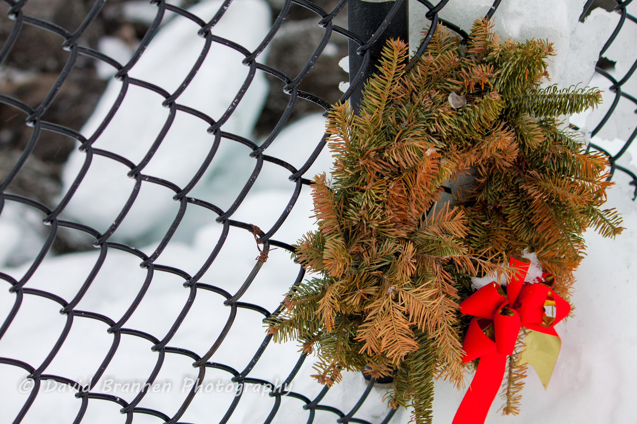 Canon EF-S 55-250mm F4-5.6 IS sample photo. Wreath photography