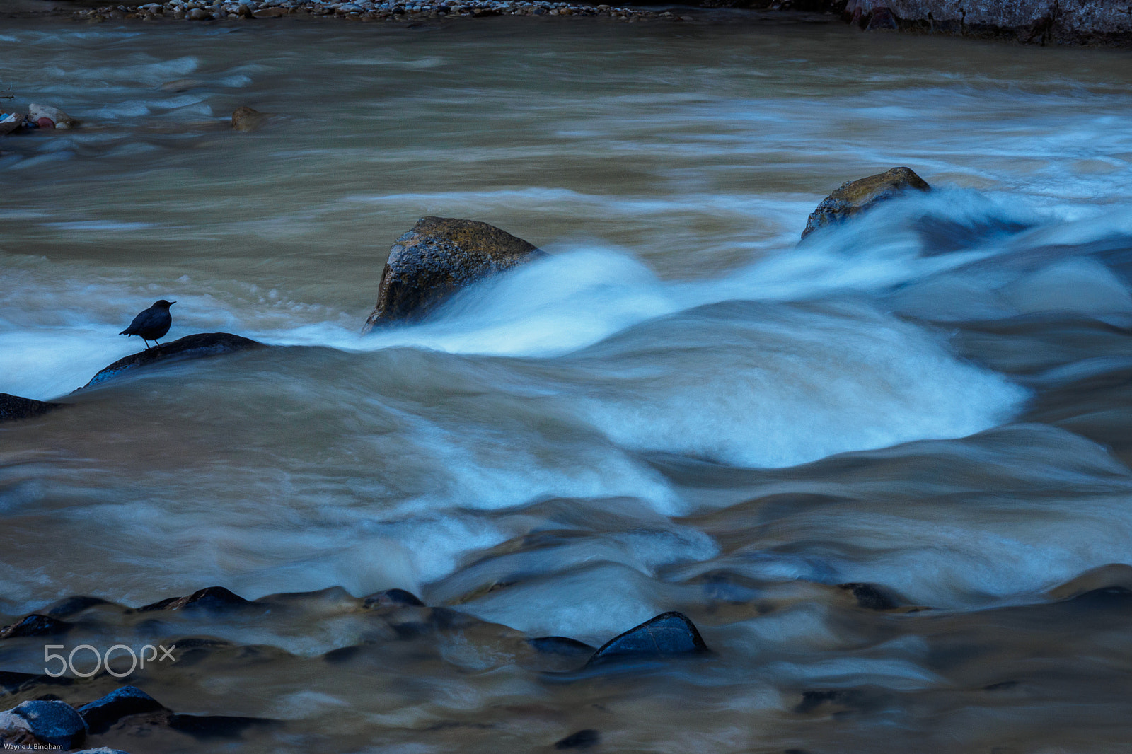OLYMPUS M.14-150mm F4.0-5.6 II sample photo. Zion national park ii photography