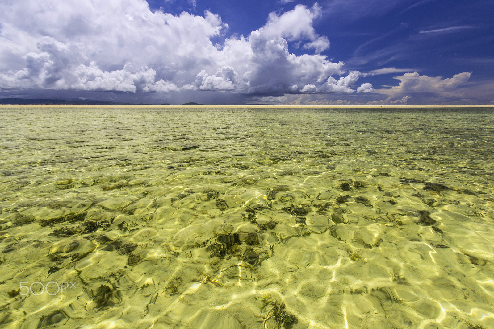 Sigma 10-20mm F4-5.6 EX DC HSM sample photo. Vitamin sea !! photography