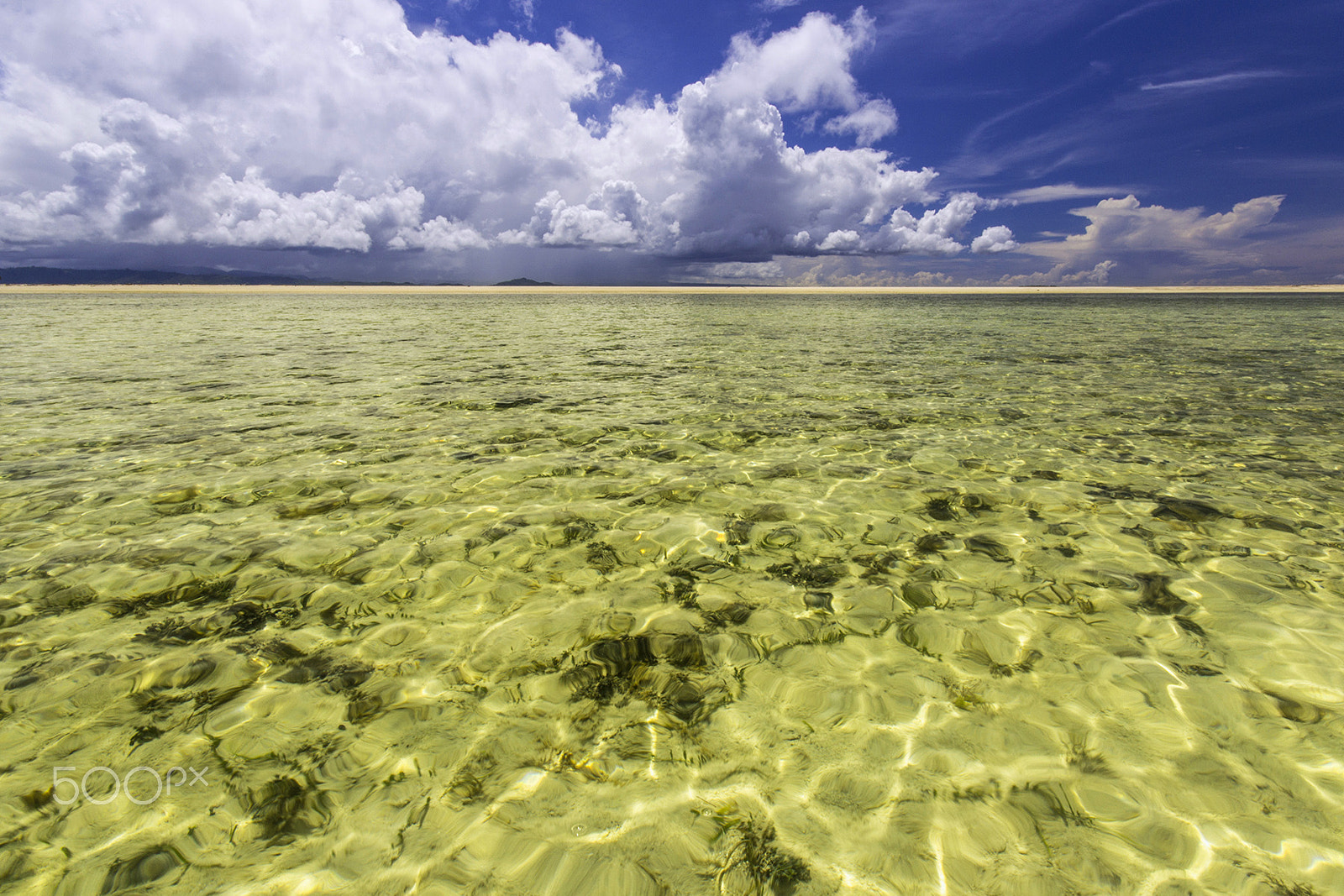 Canon EOS 600D (Rebel EOS T3i / EOS Kiss X5) + Sigma 10-20mm F4-5.6 EX DC HSM sample photo. Vitamin sea !! photography