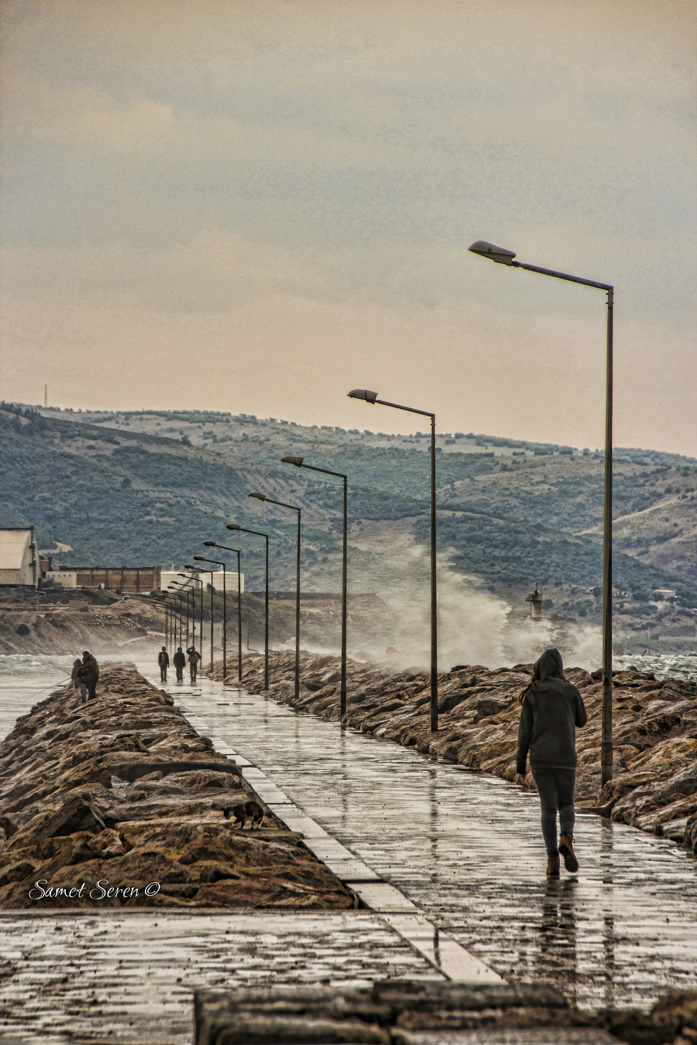 Sigma 18-250mm F3.5-6.3 DC OS HSM sample photo. Kara kış #black #winter  #sseren #sametseren photography