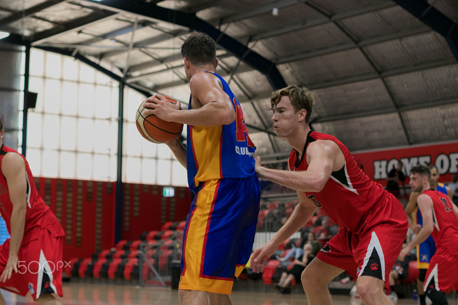 Canon EOS 80D sample photo. Norths bears vs central coast crusaders waratah photography