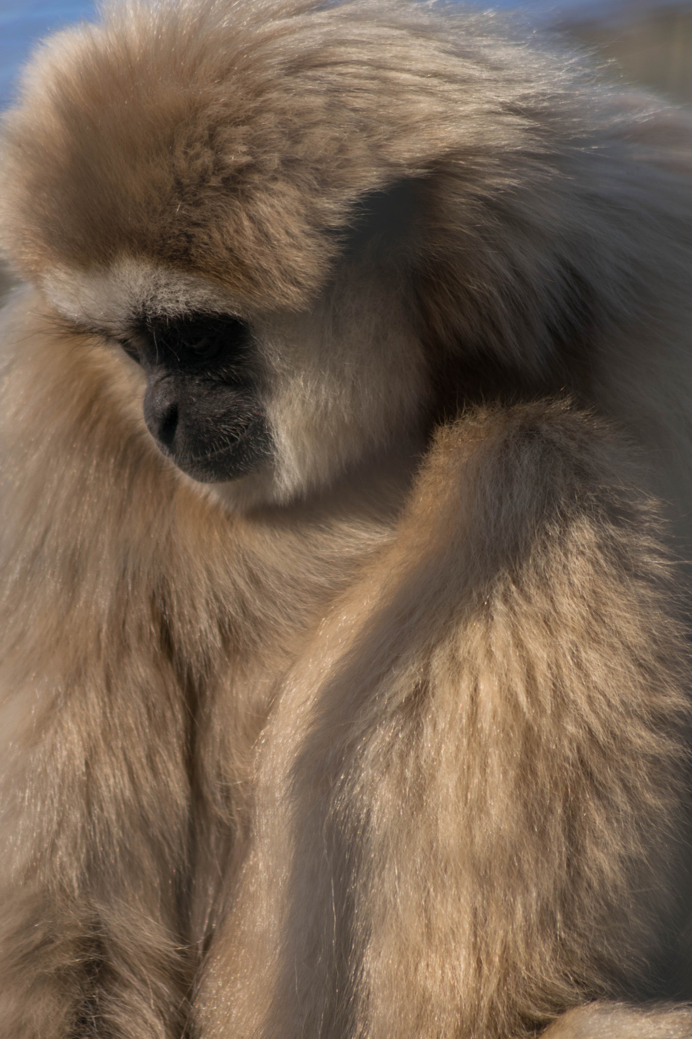 Sigma 70-300mm F4-5.6 APO DG Macro sample photo. As she takes a moment to reflect on her two minute ... photography