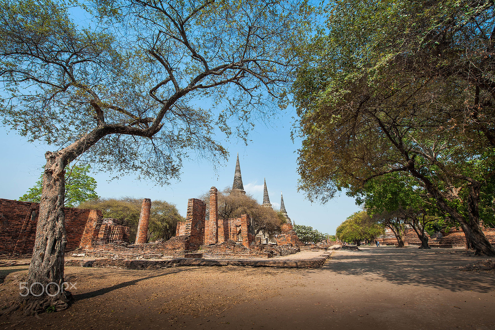 Nikon AF-S Nikkor 14-24mm F2.8G ED sample photo. Wat phra sri sanphet couleurs w photography