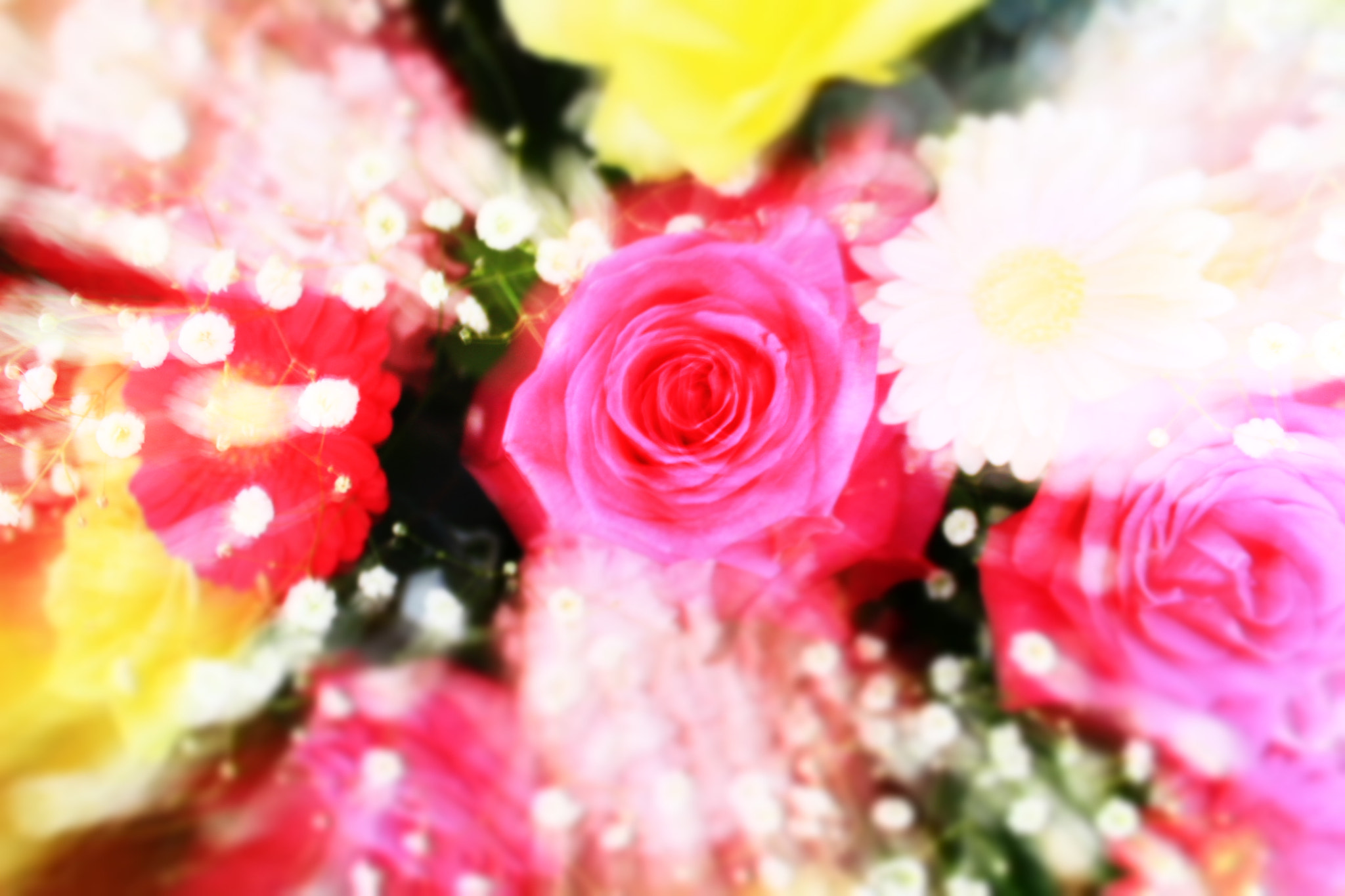 Canon EOS 600D (Rebel EOS T3i / EOS Kiss X5) sample photo. Energy of the flowers photography