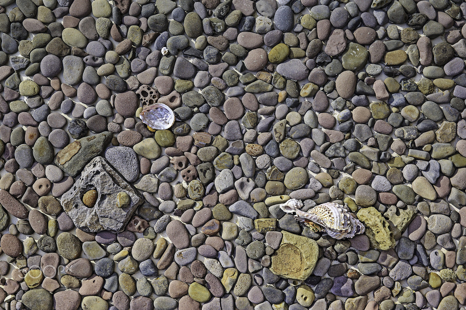 Canon EOS-1D X sample photo. A stone wall. photography