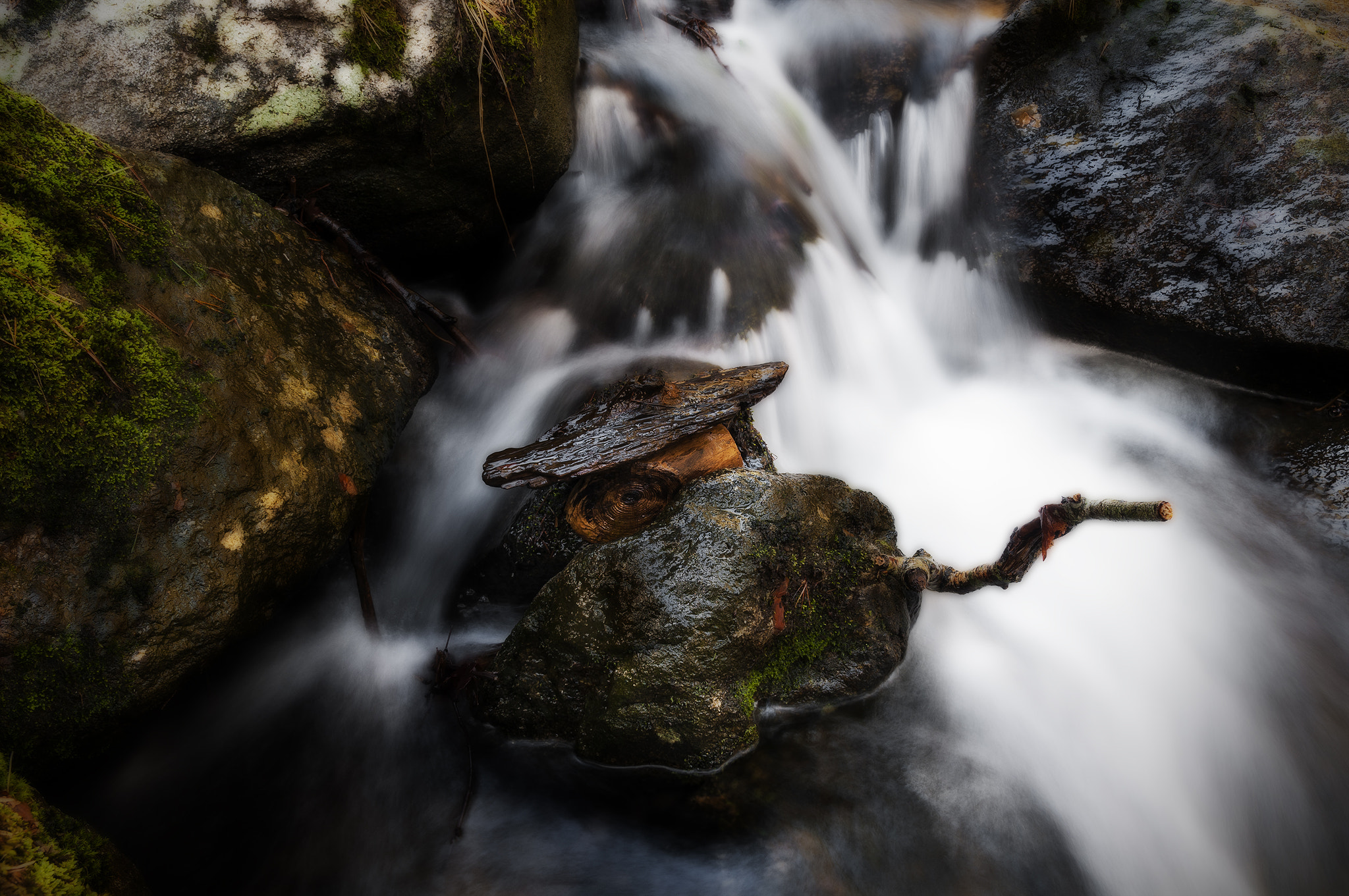 Sigma 17-50mm F2.8 EX DC OS HSM sample photo. 11299032canenc photography
