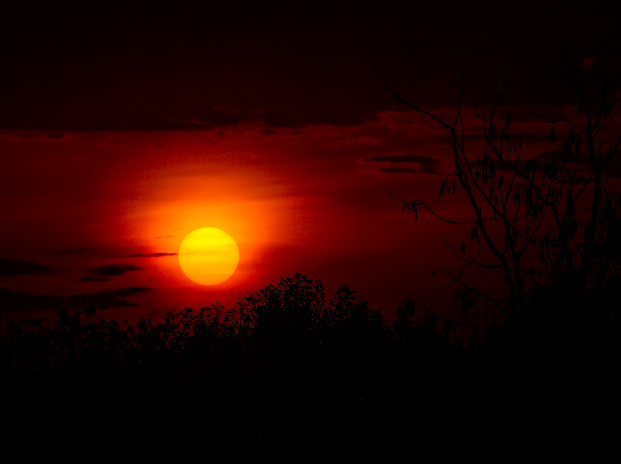 Sigma 70-200mm F2.8 EX DG OS HSM sample photo. Warm sunshine in the morning. photography
