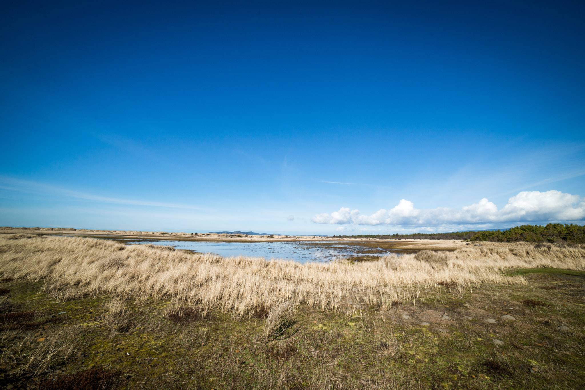 Samyang 14mm F2.8 ED AS IF UMC sample photo. It's a wide world after all photography