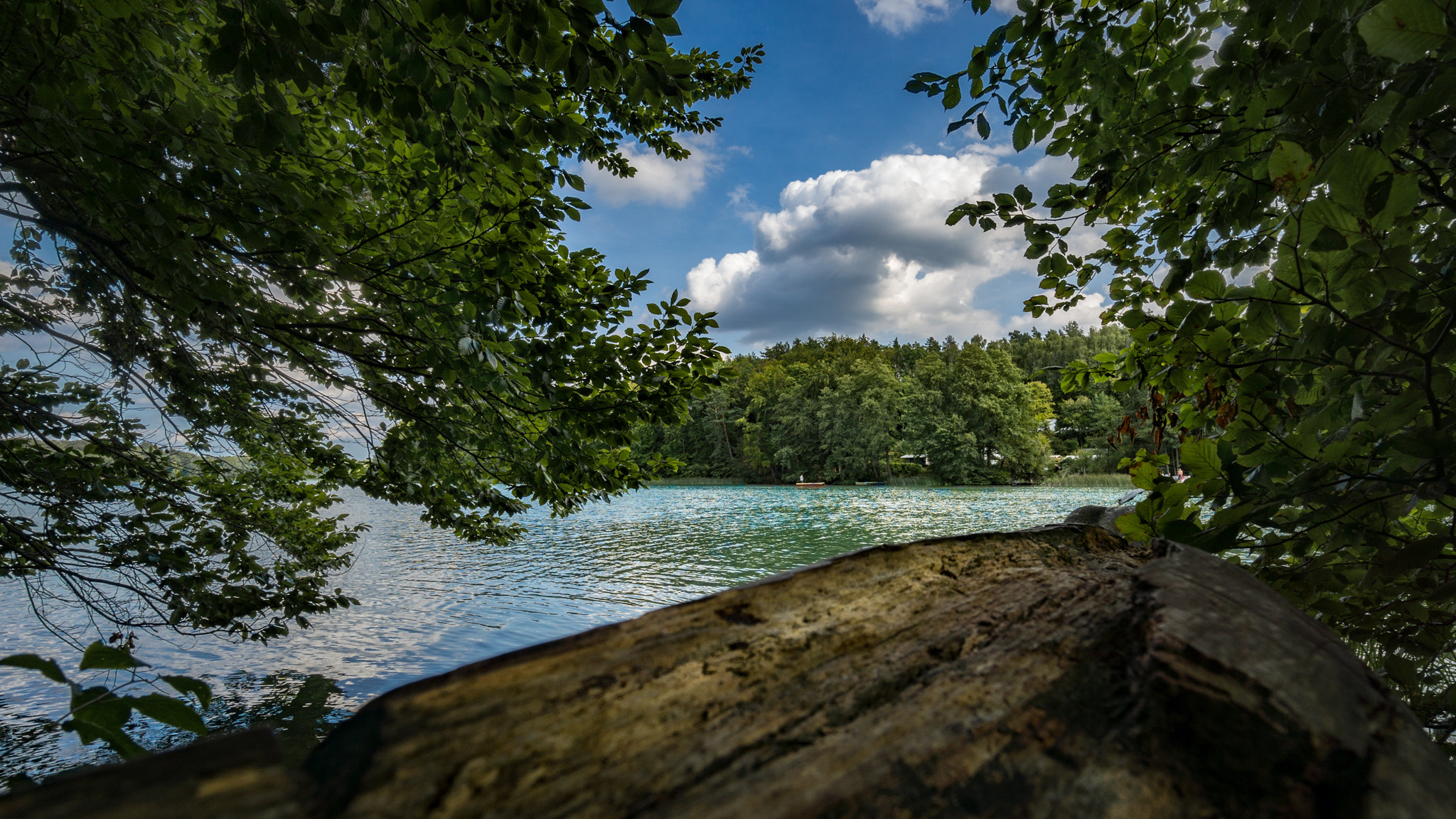 Sony a6000 + Sony E 10-18mm F4 OSS sample photo. Roadtrip germany 2016  photography