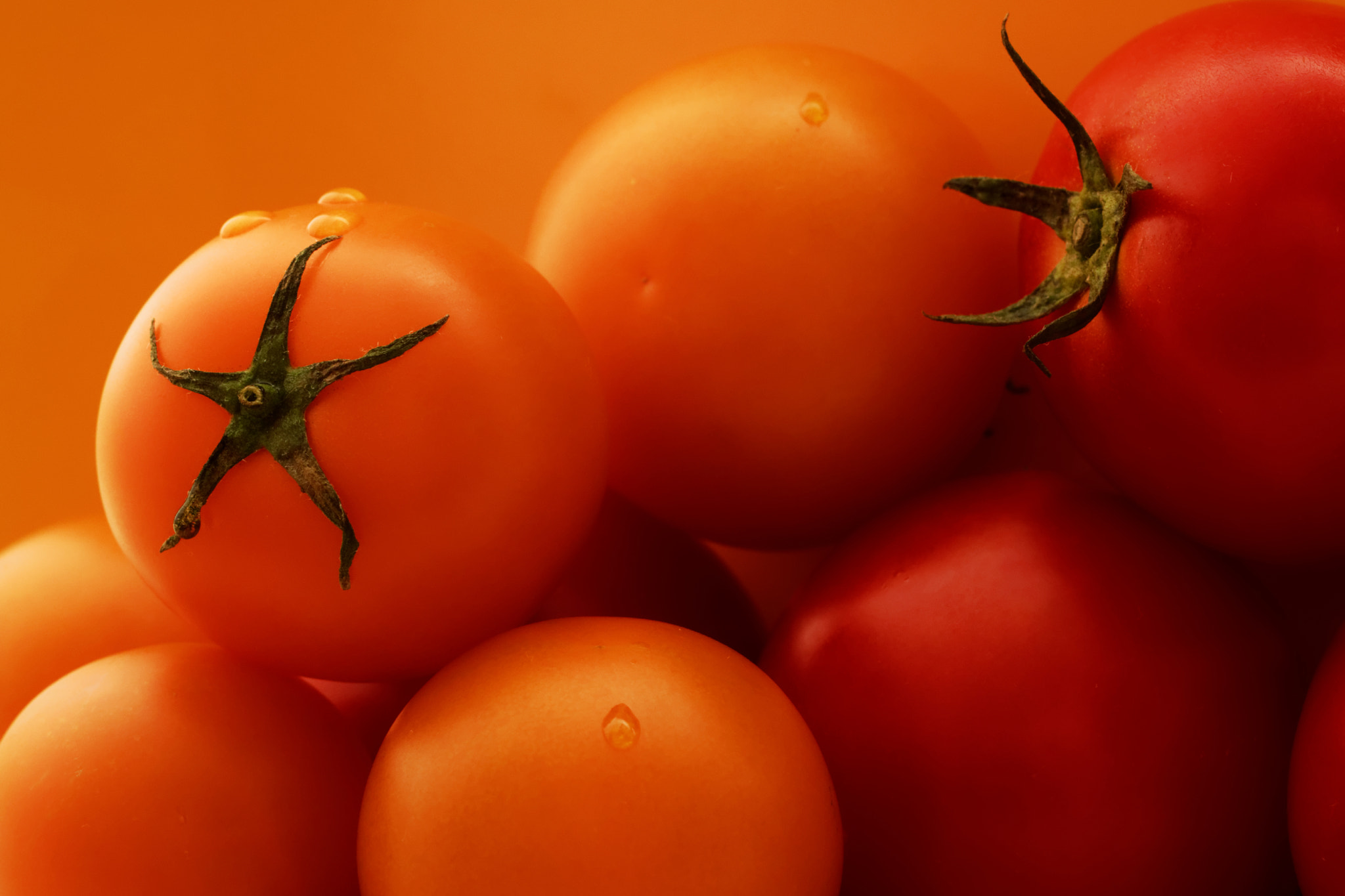 Canon EOS M3 + Canon EF 50mm F1.8 II sample photo. Tomato star photography