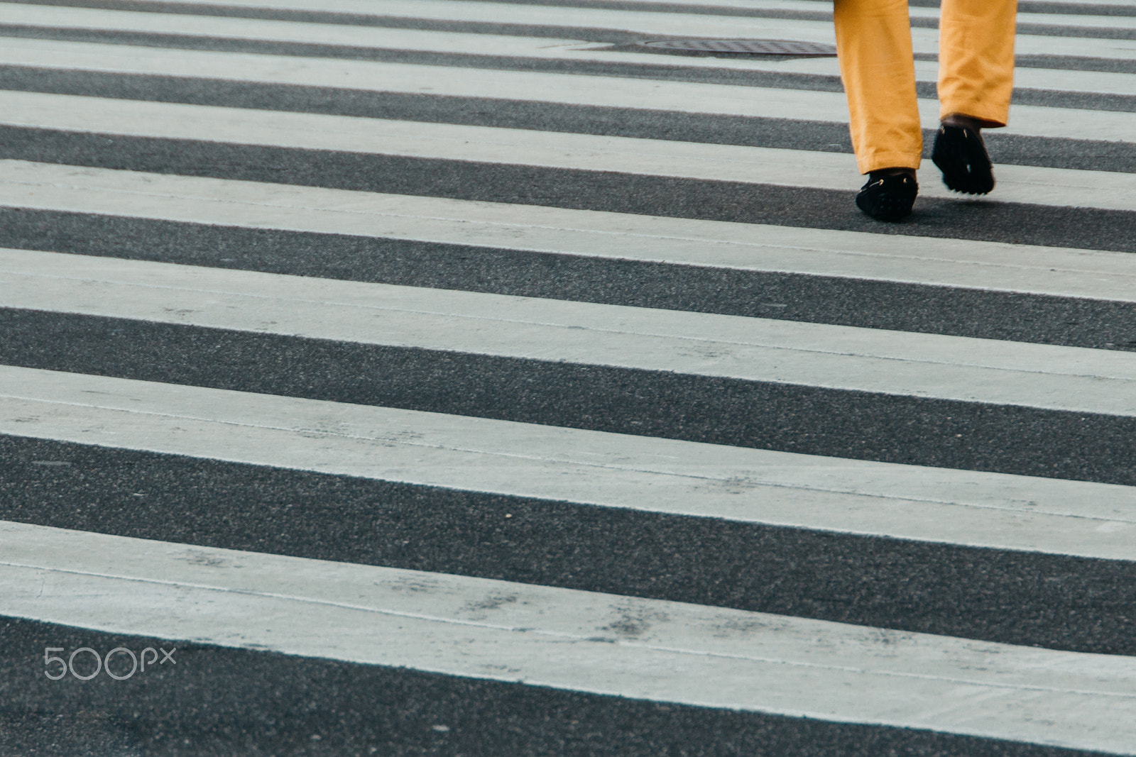 Canon EOS 650D (EOS Rebel T4i / EOS Kiss X6i) sample photo. Zebro | yellow pants caught my eye at a cross walk. photography