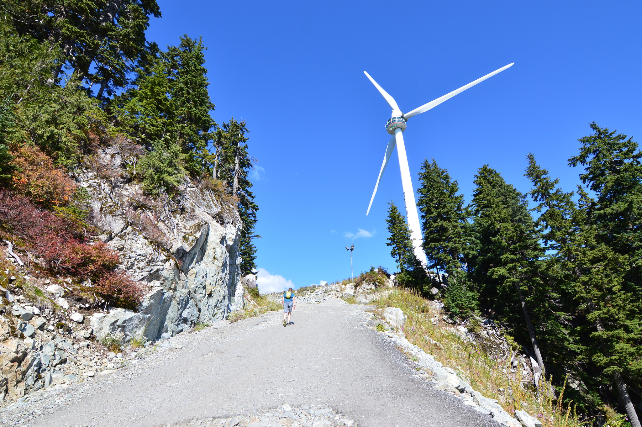 Nikon D3200 sample photo. Picturesvancouverluss photography