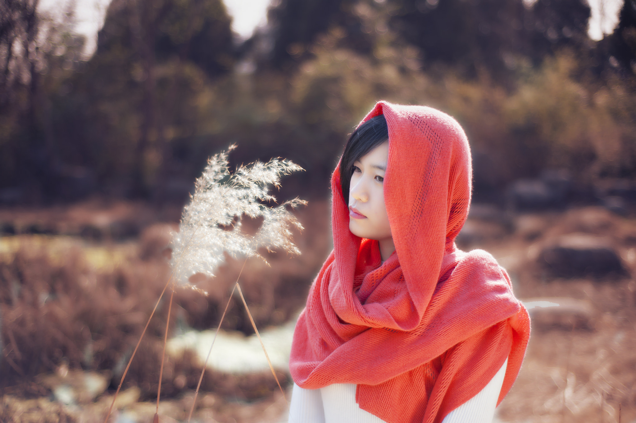 Nikon D700 + Nikon AF Nikkor 50mm F1.8D sample photo. Big  face photography