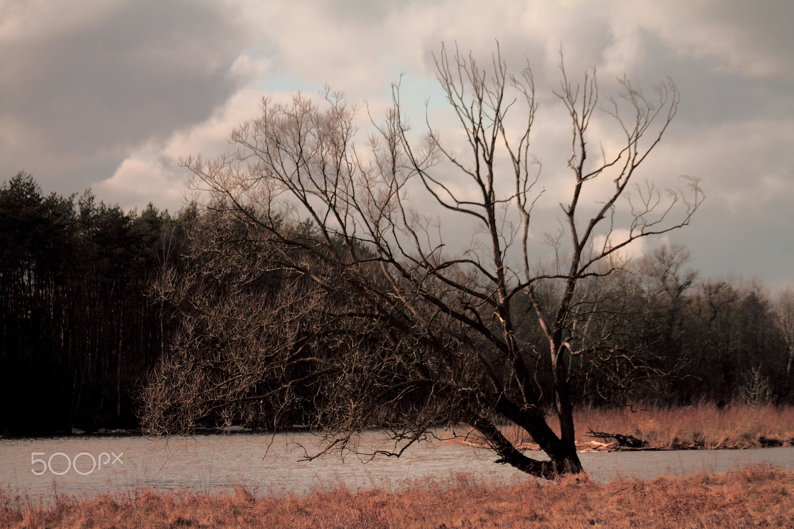 Canon EOS 7D + EF75-300mm f/4-5.6 sample photo. Early spring photography