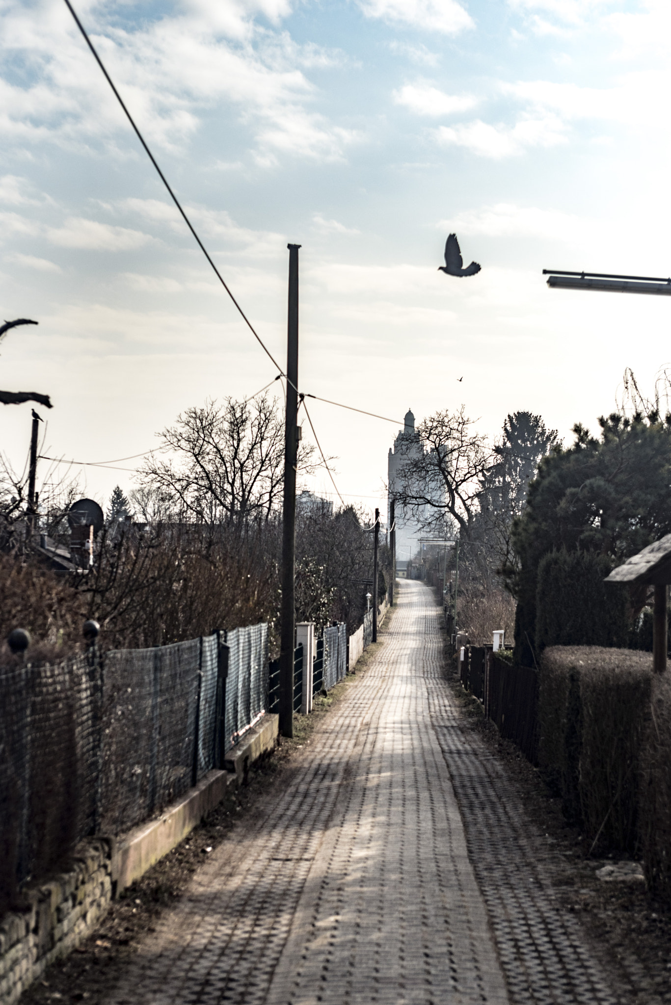 AF Zoom-Nikkor 35-70mm f/2.8 sample photo. Path to follow | wasserturm berlin westend photography