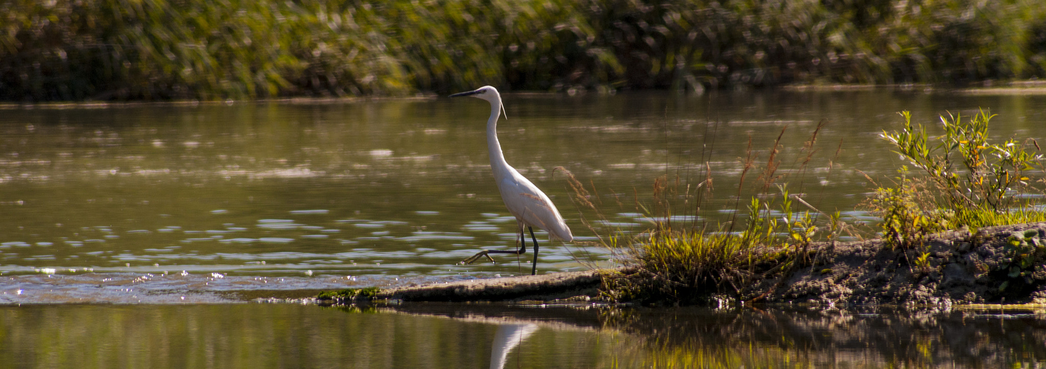Sigma 70-300mm F4-5.6 APO DG Macro sample photo. River life on danube photography