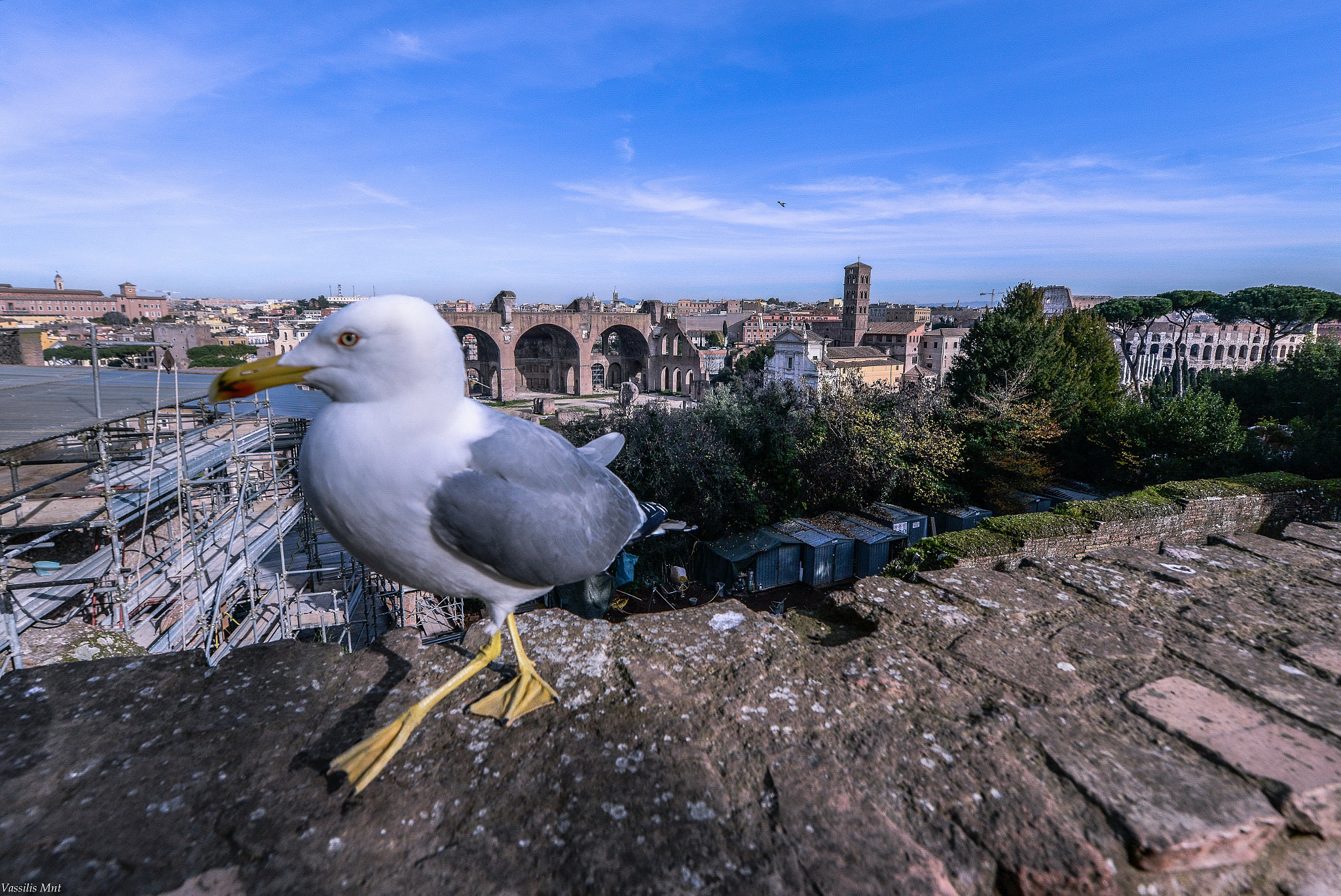 Nikon AF-S Nikkor 14-24mm F2.8G ED sample photo. Rome... photography