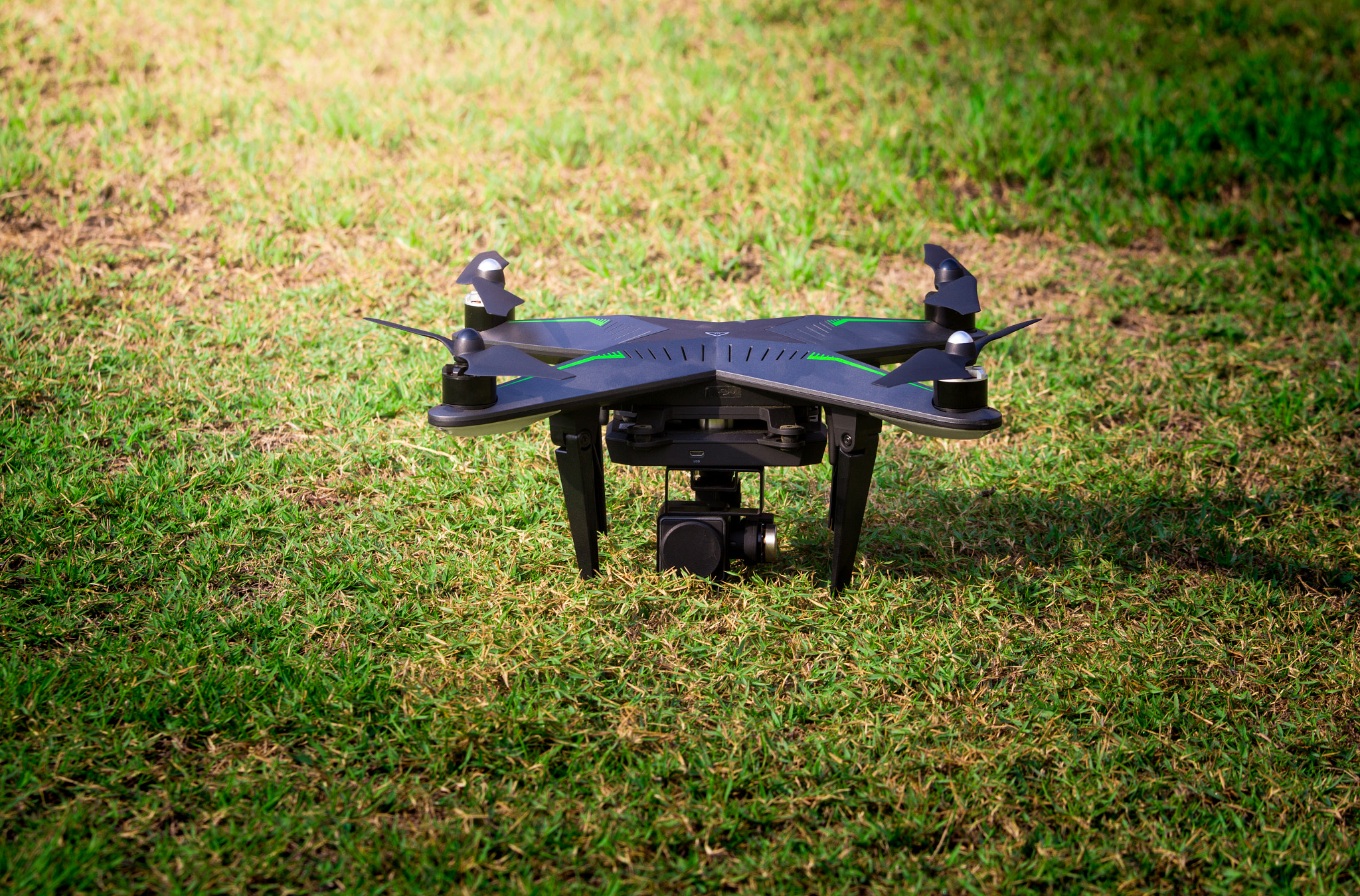 Canon EOS 60D + Canon EF 70-200mm F4L IS USM sample photo. Drones in the grass photography