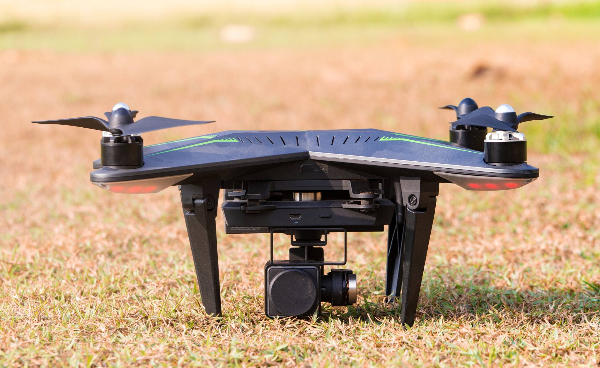 Canon EOS 60D + Canon EF 70-200mm F4L IS USM sample photo. Drones in the grass photography