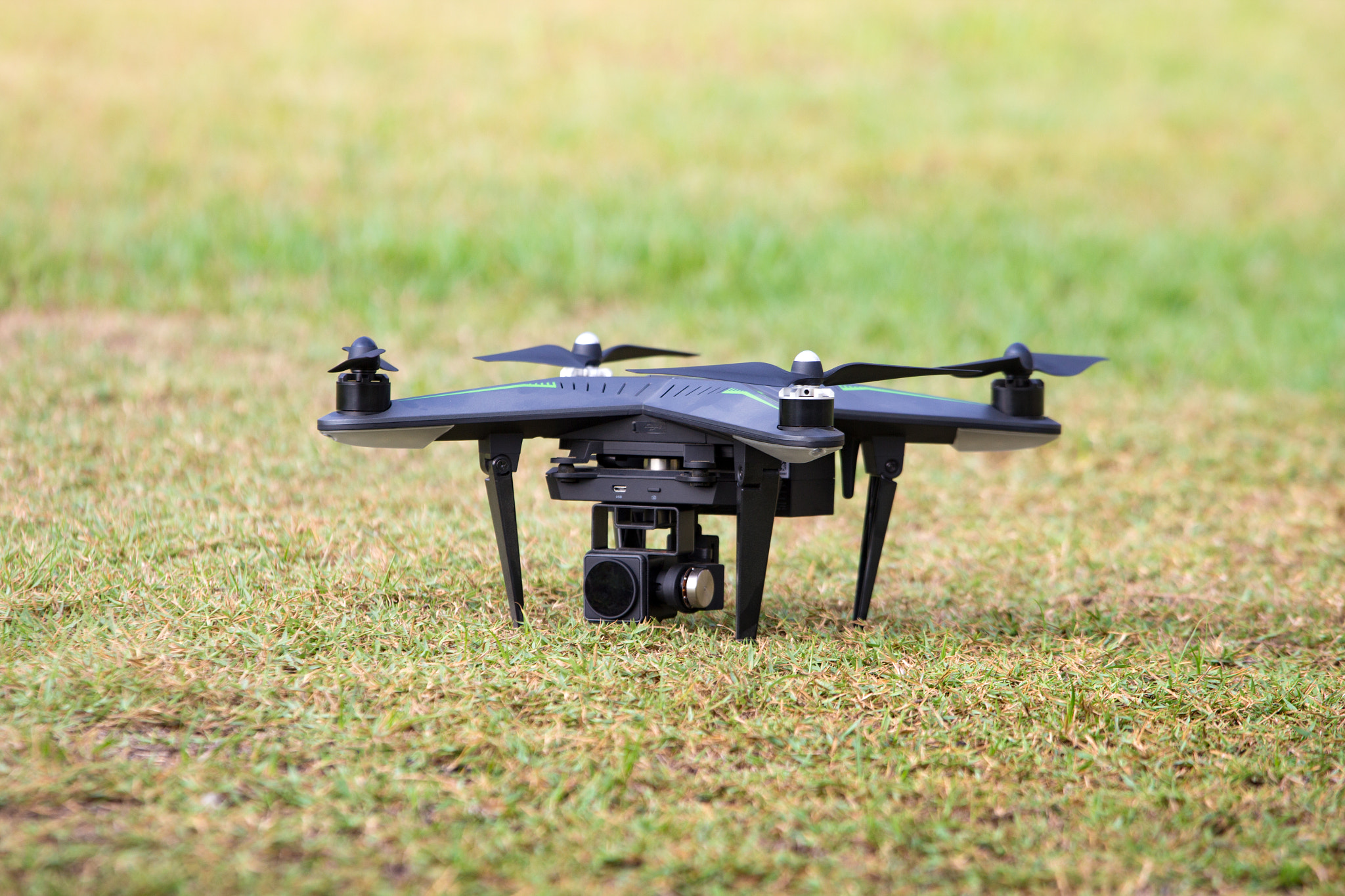 Canon EOS 60D + Canon EF 70-200mm F4L IS USM sample photo. Drones in the grass photography